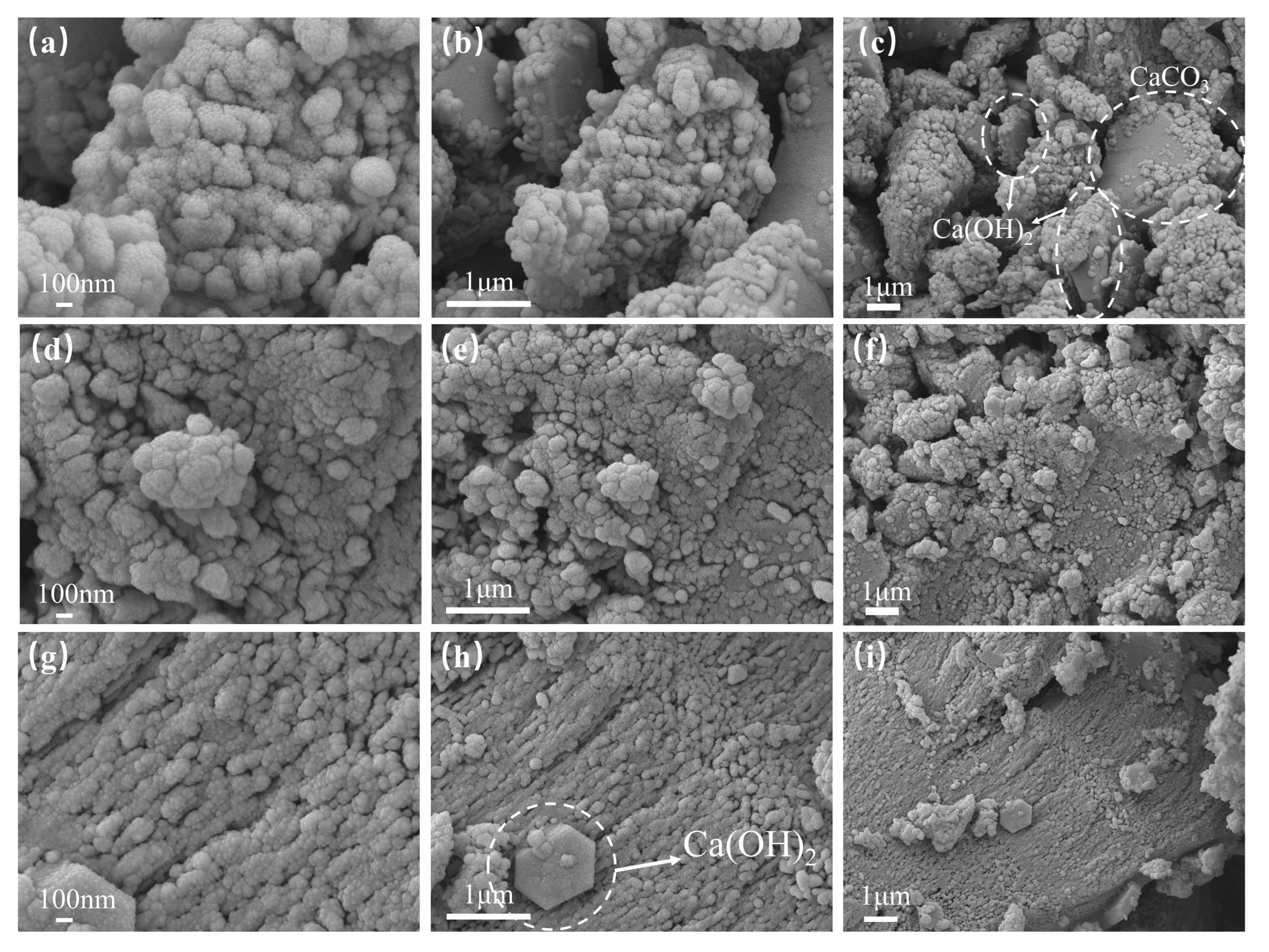 Nanomaterials 15 01194 g018 Nanomaterials 15 01194 g018