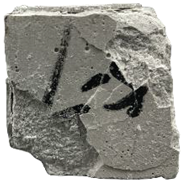 Nanomaterials 15 01194 i005 Nanomaterials 15 01194 i005