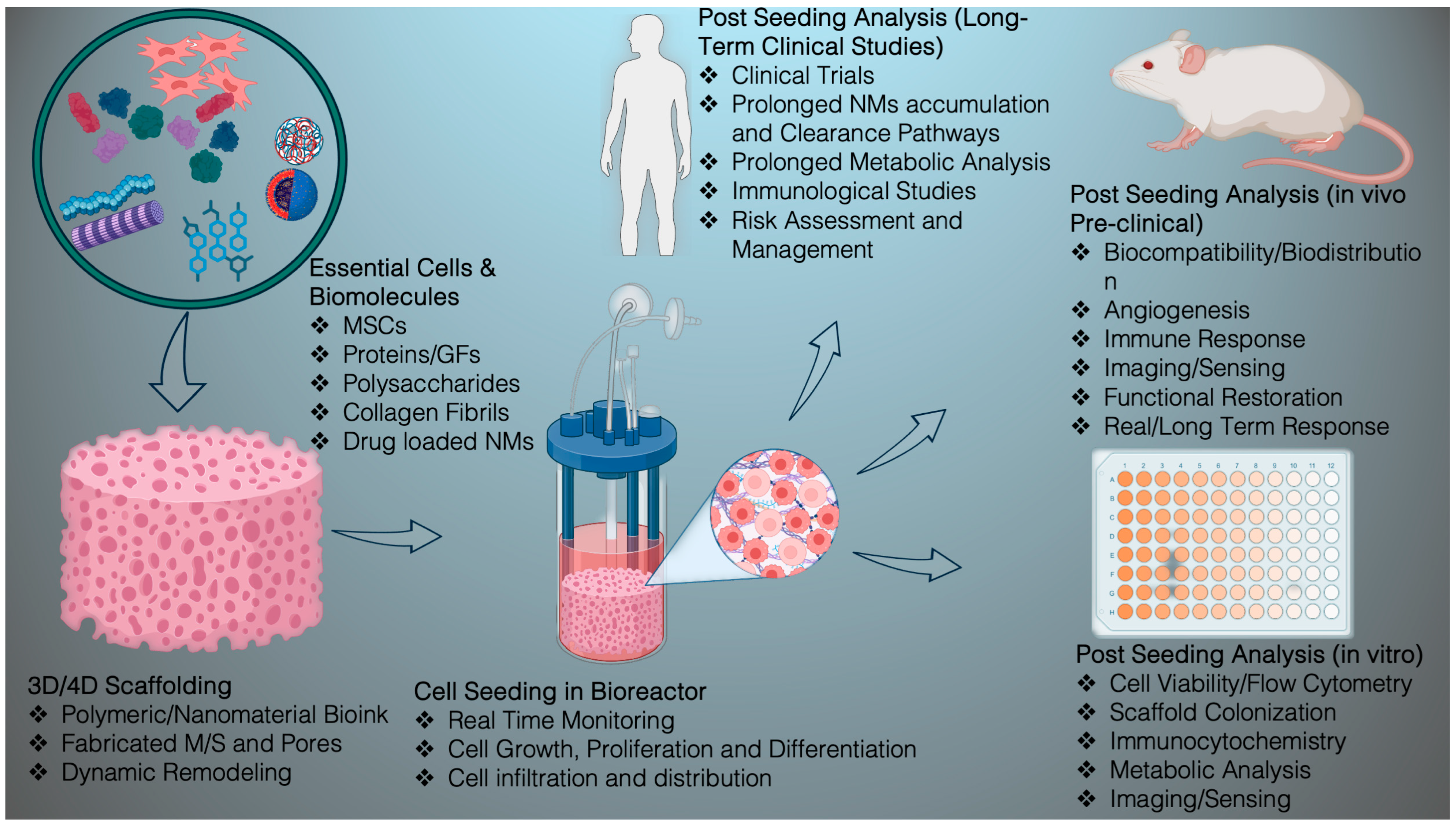 Nanomaterials 15 01198 g002 Nanomaterials 15 01198 g002