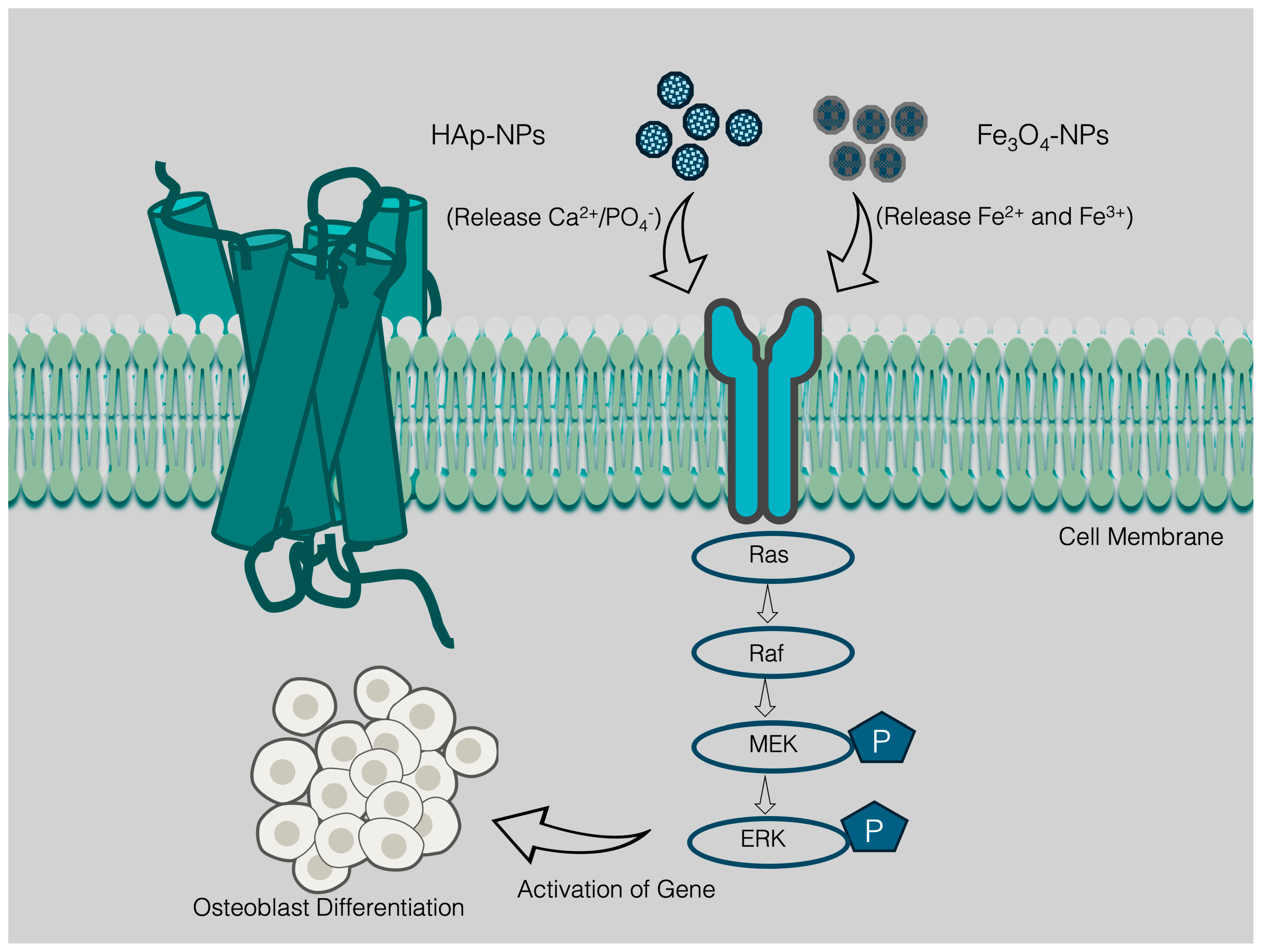 Nanomaterials 15 01198 g003 Nanomaterials 15 01198 g003