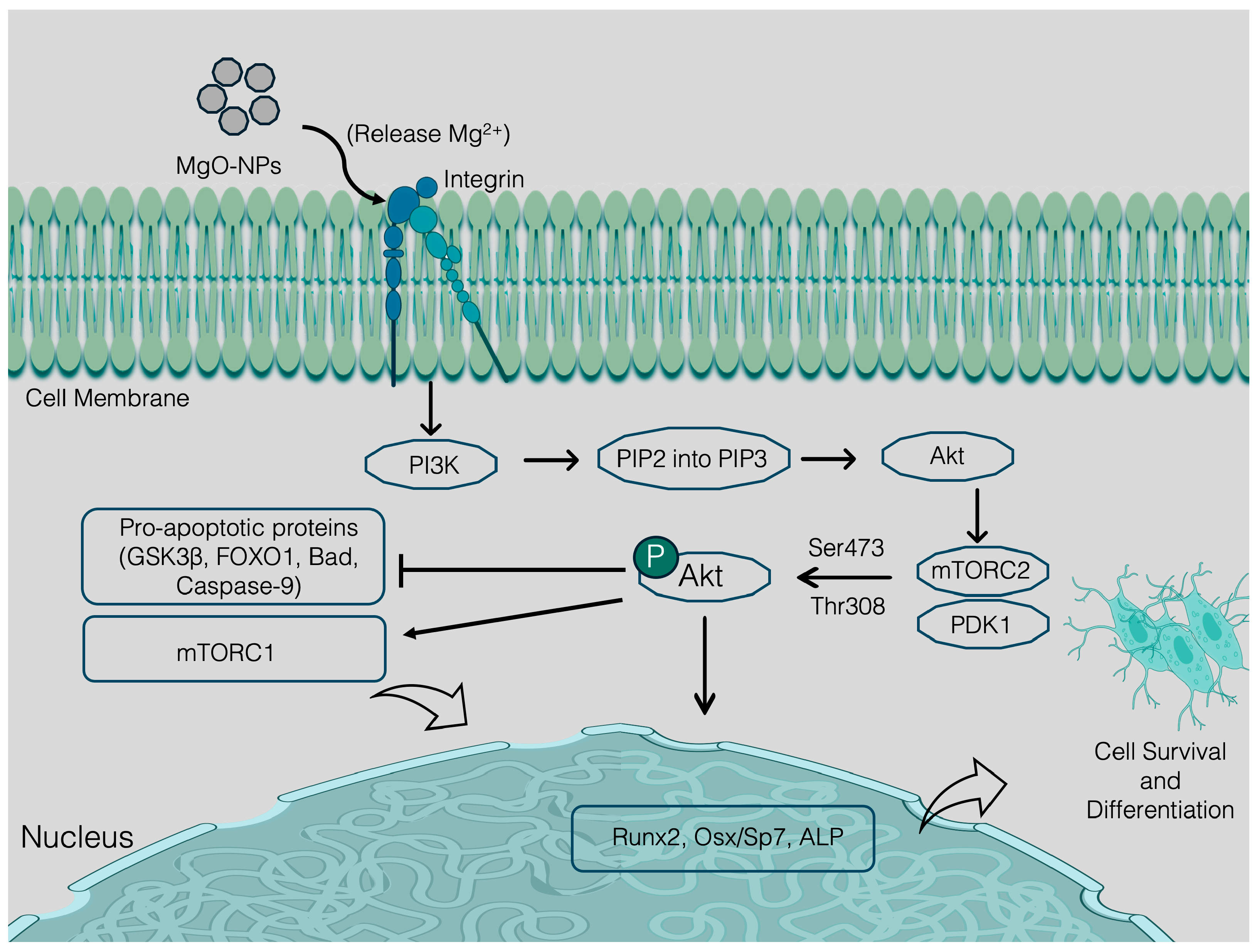 Nanomaterials 15 01198 g004 Nanomaterials 15 01198 g004