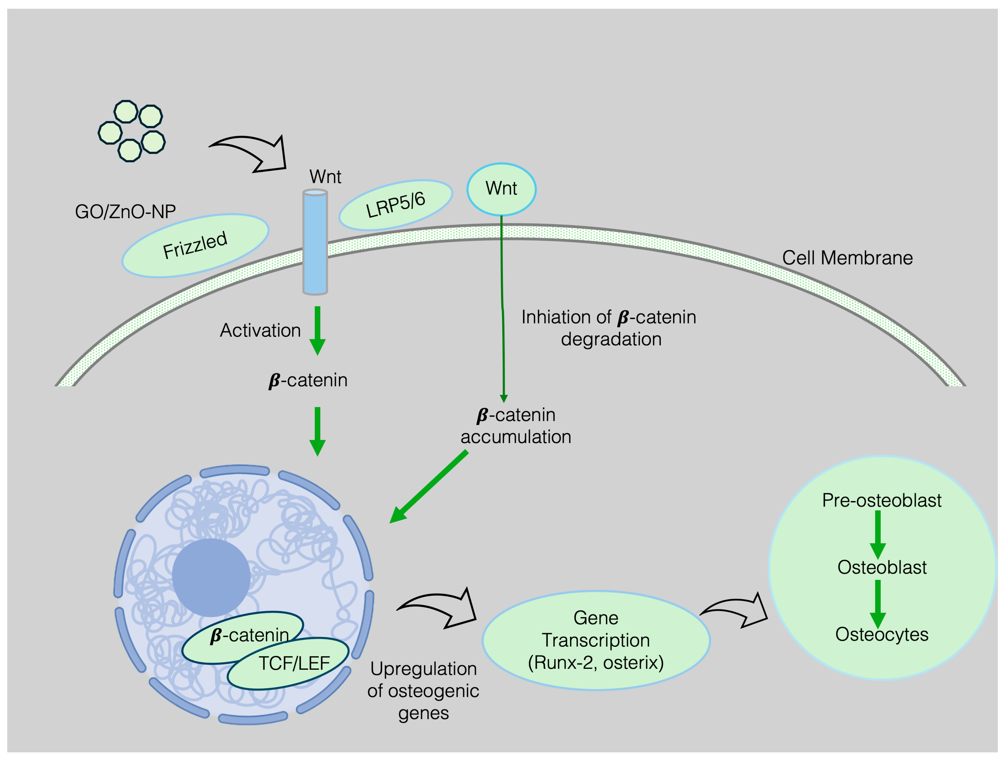 Nanomaterials 15 01198 g005 Nanomaterials 15 01198 g005