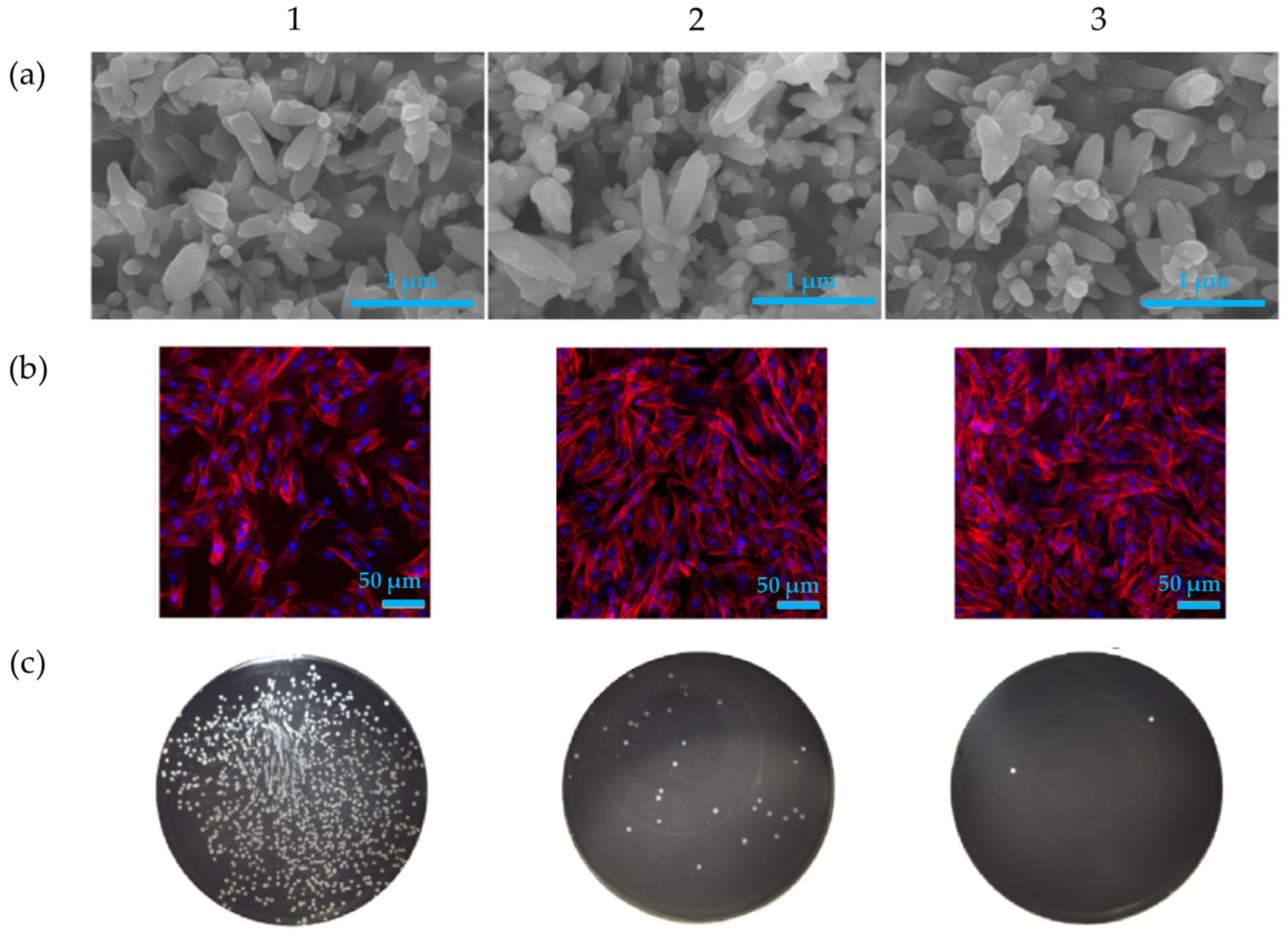 Nanomaterials 15 01199 g008 Nanomaterials 15 01199 g008