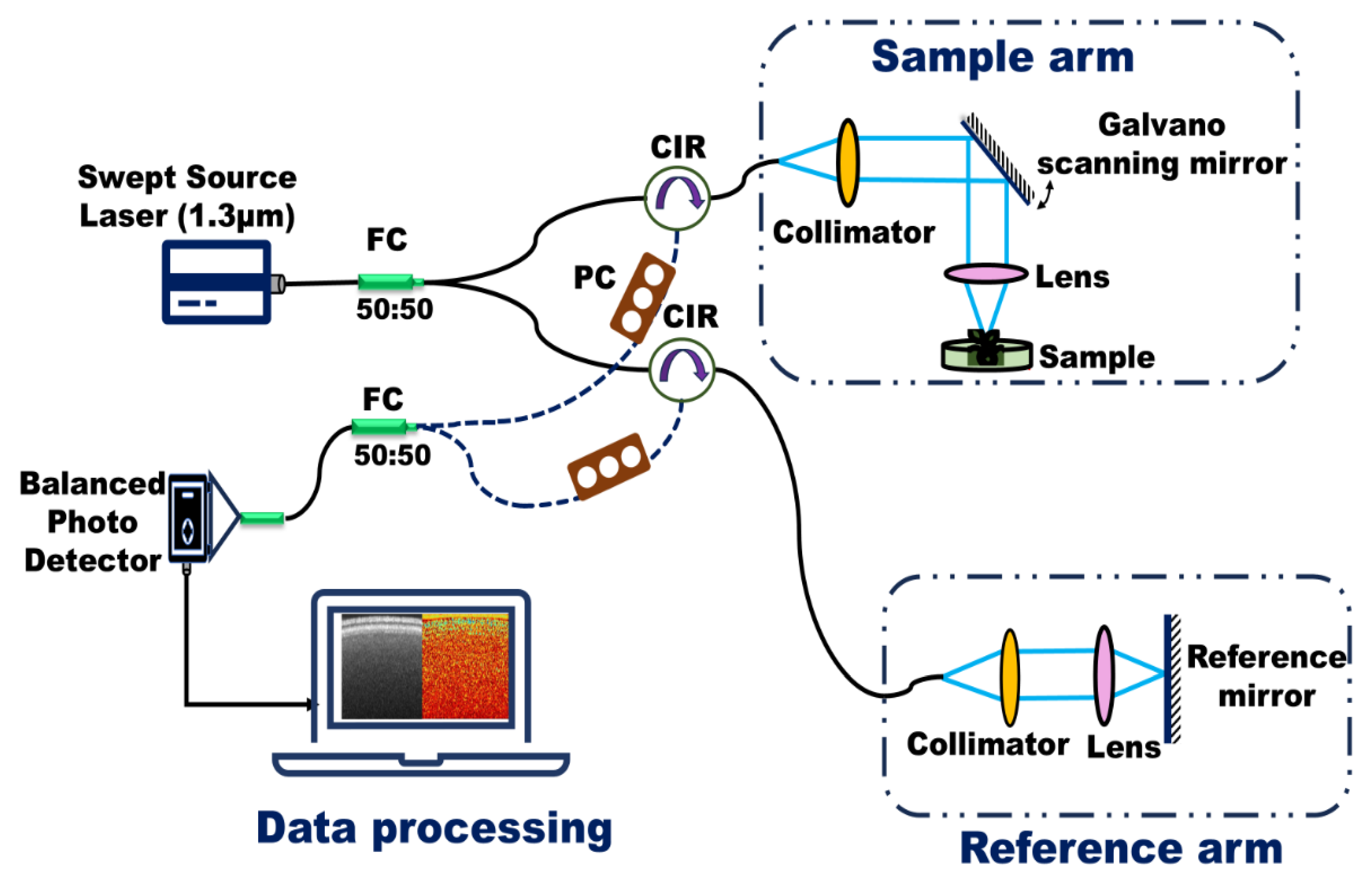 Nanomaterials 15 01214 g001