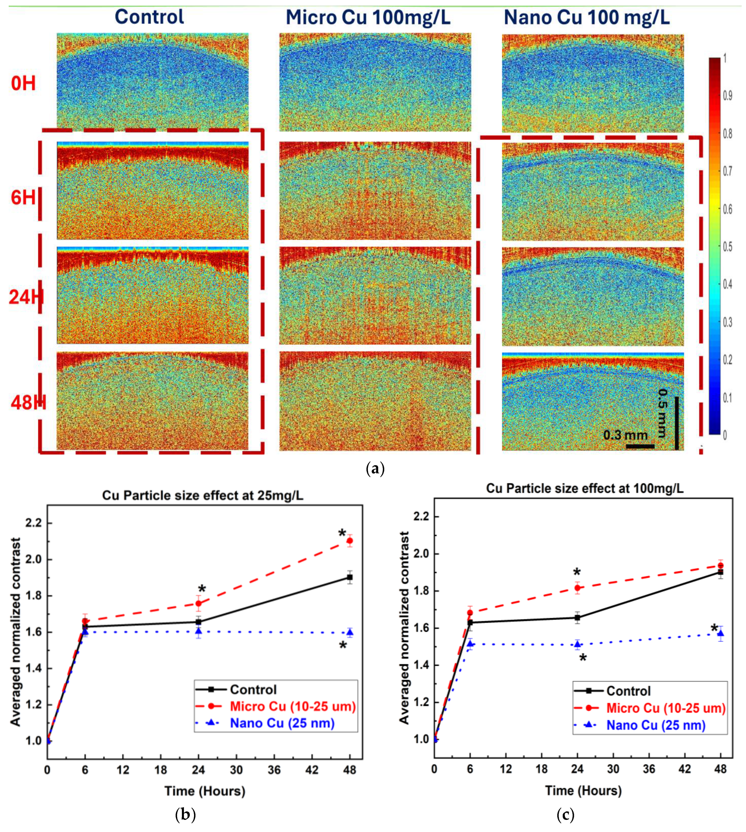 Nanomaterials 15 01214 g003