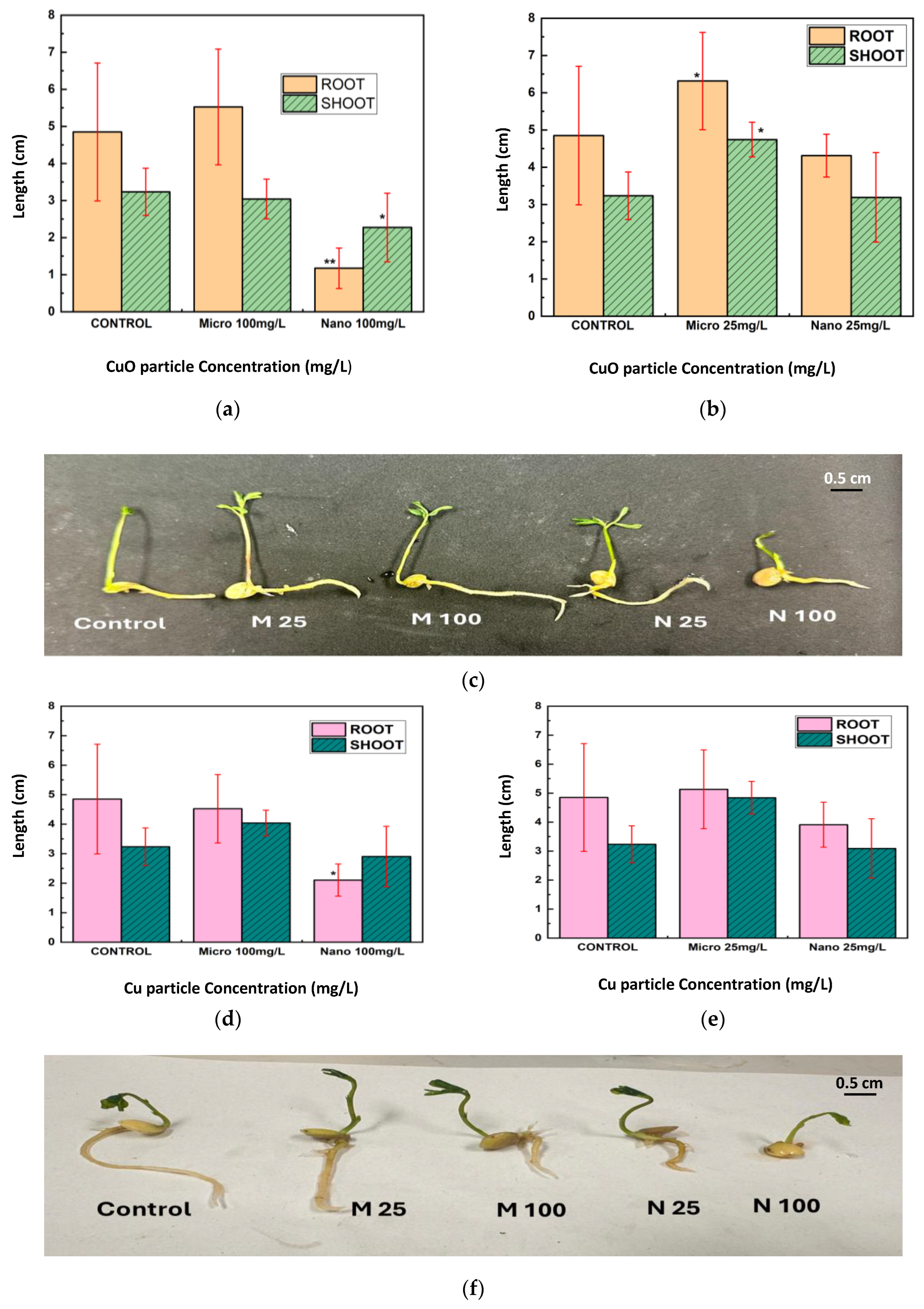 Nanomaterials 15 01214 g005
