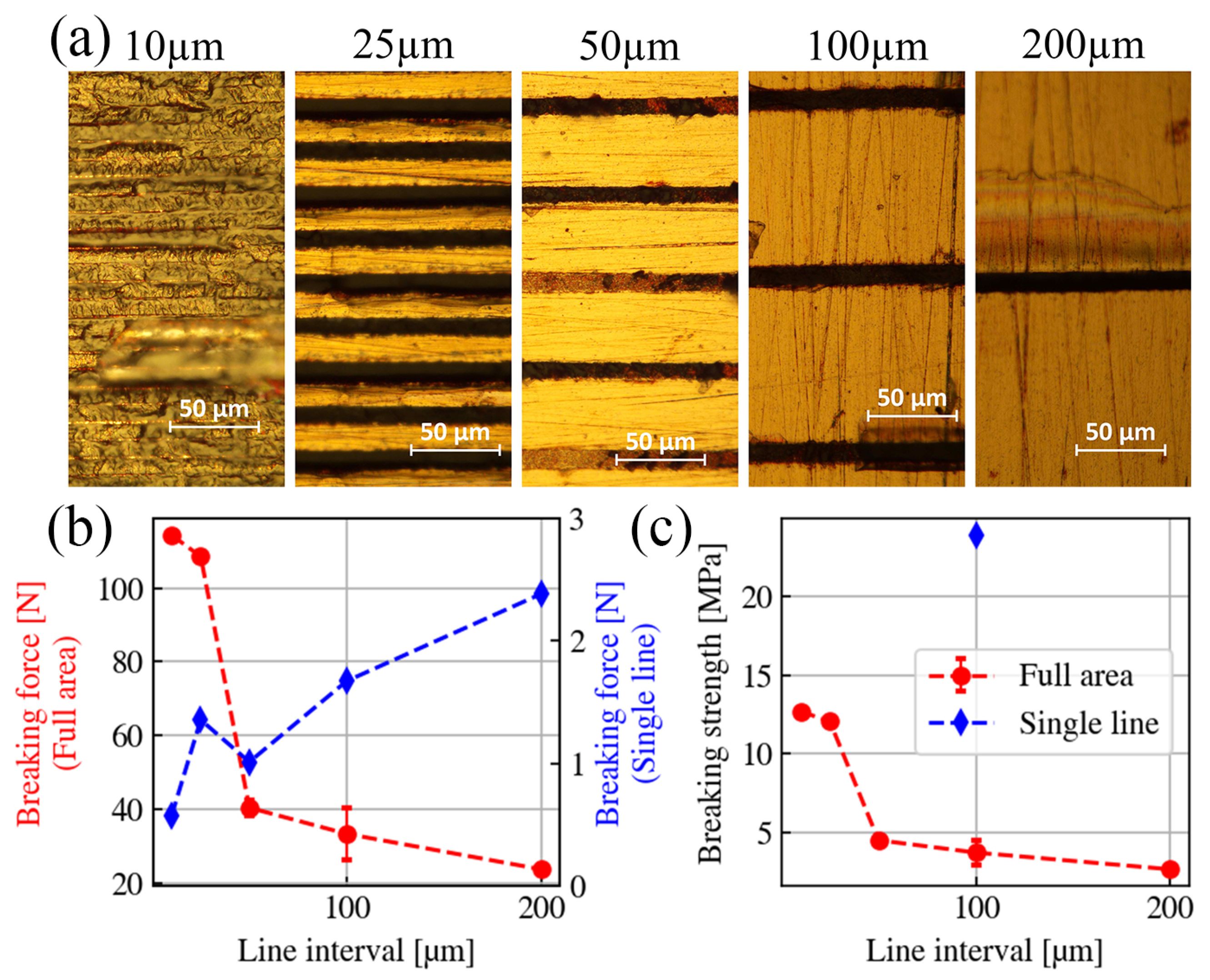 Nanomaterials 15 01215 g004