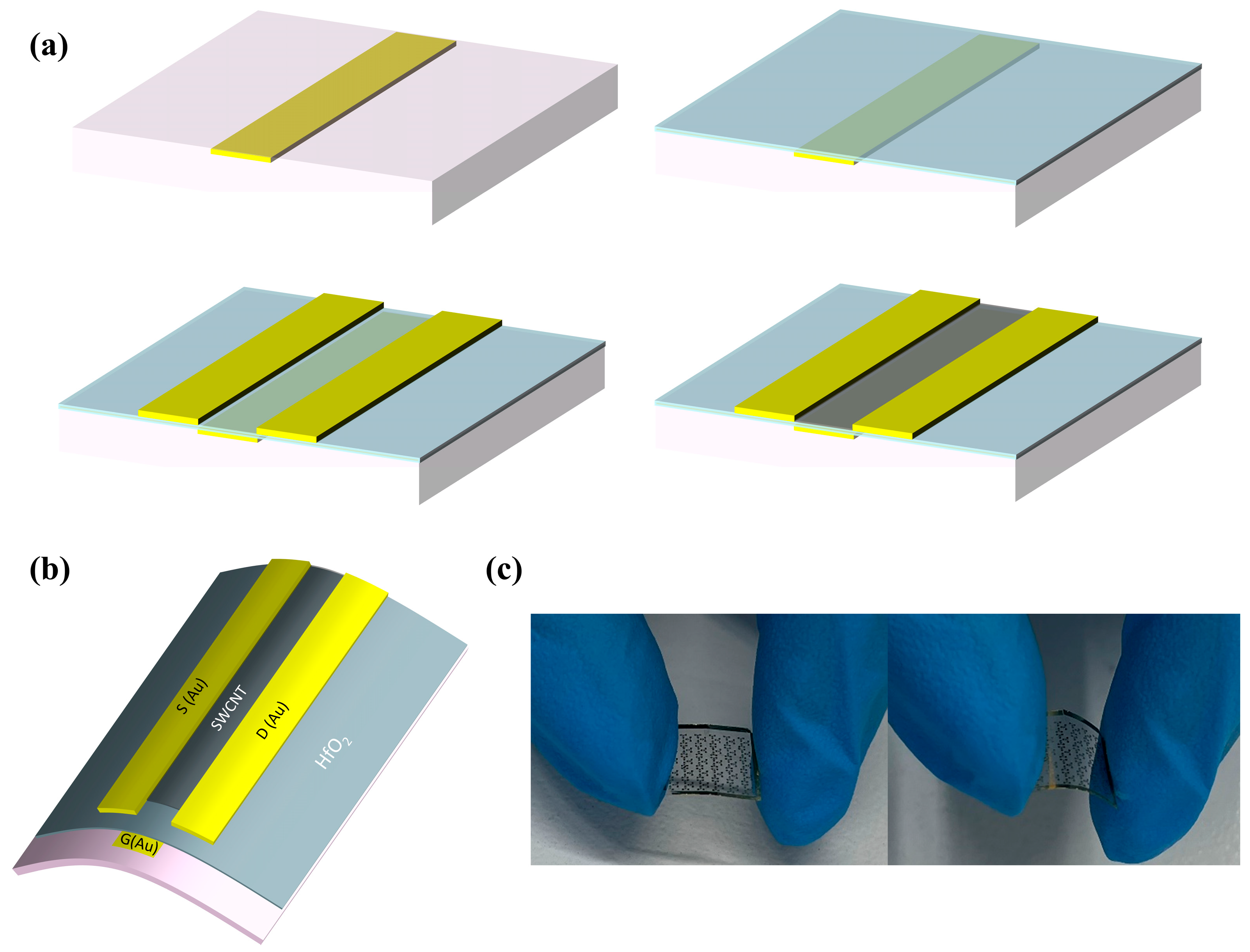 Nanomaterials 15 01218 g001