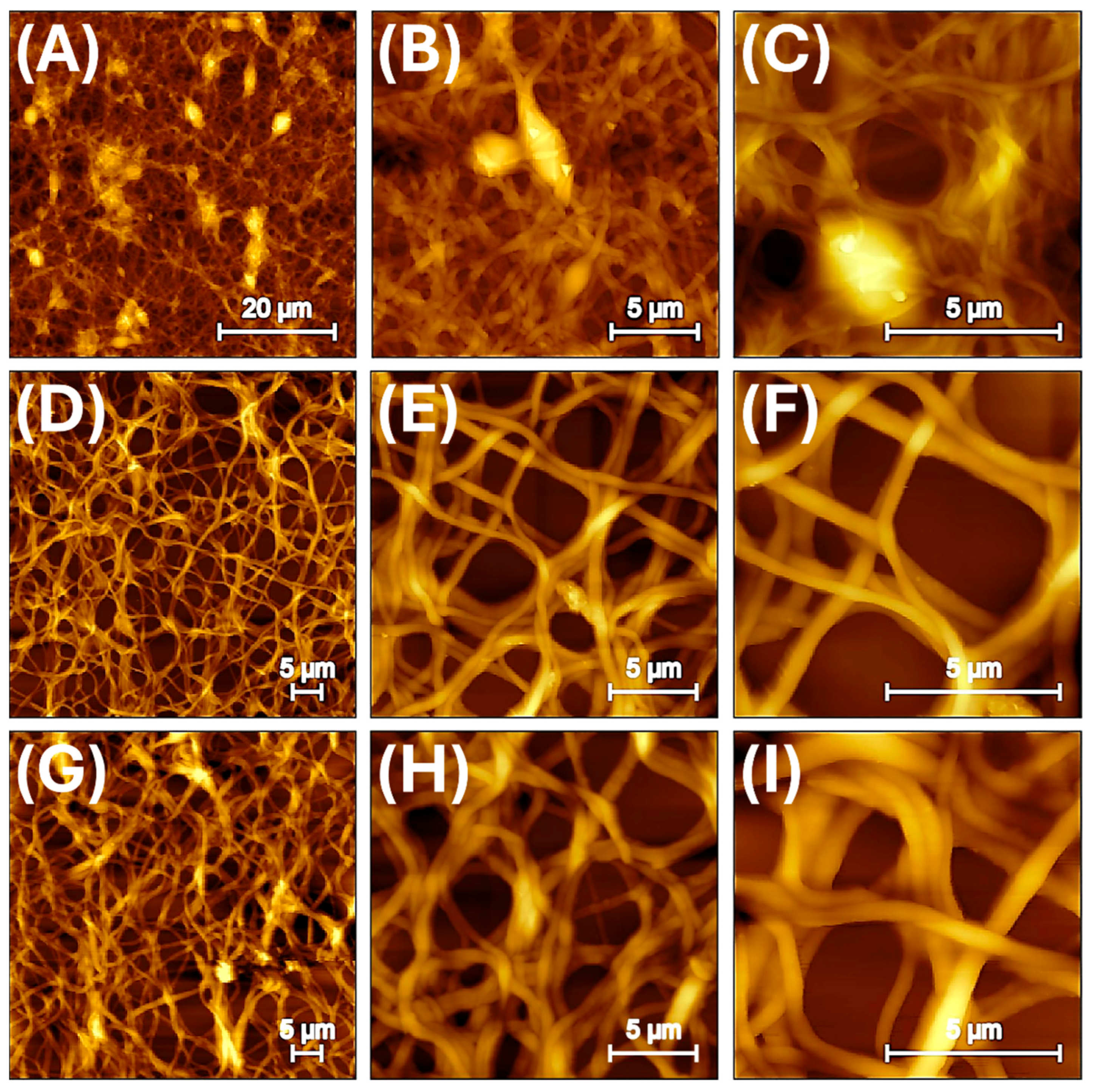 Nanomaterials 15 01220 g002
