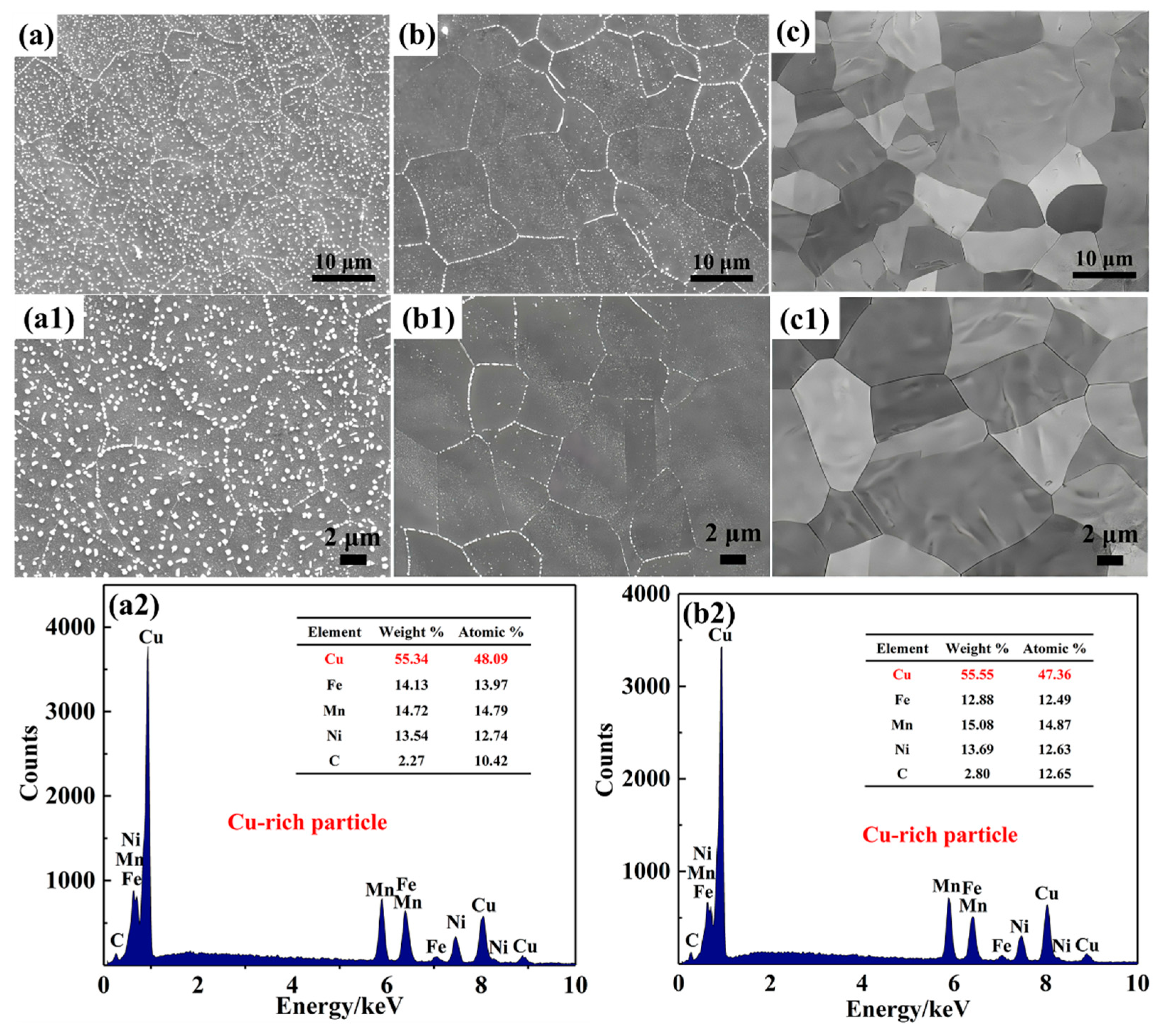 Nanomaterials 15 01223 g002