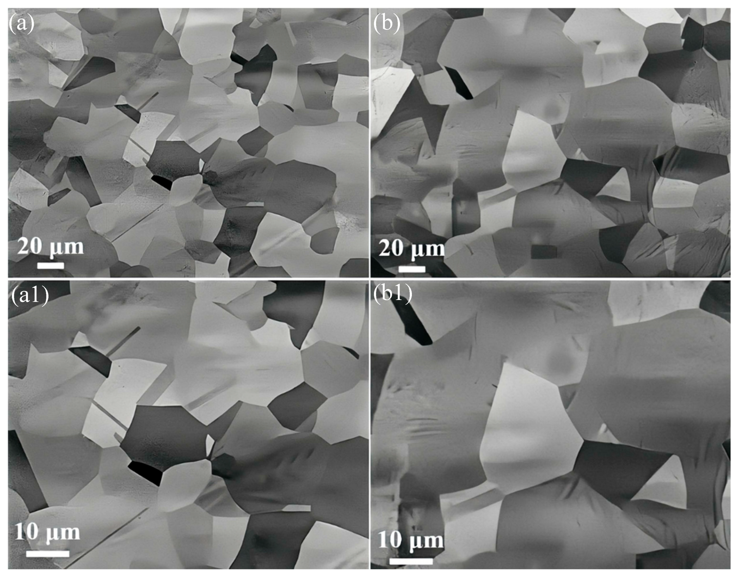 Nanomaterials 15 01223 g003