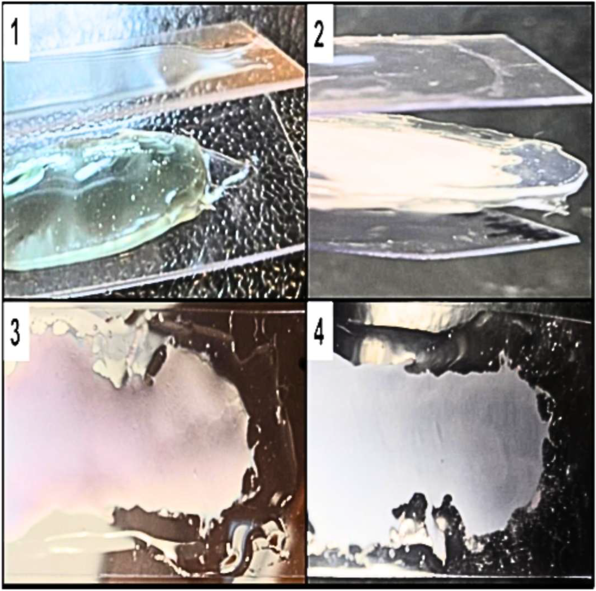 Nanomaterials 15 01224 g001 Nanomaterials 15 01224 g001