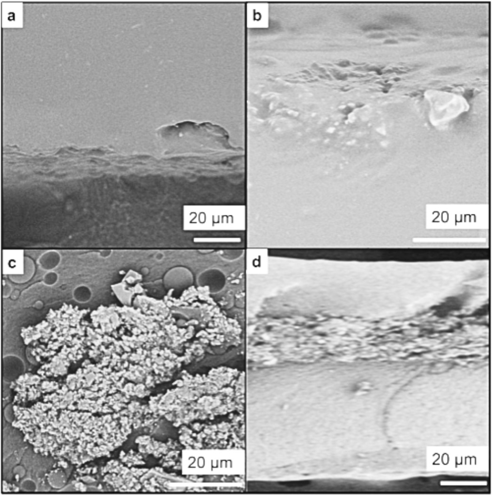 Nanomaterials 15 01224 g003 Nanomaterials 15 01224 g003