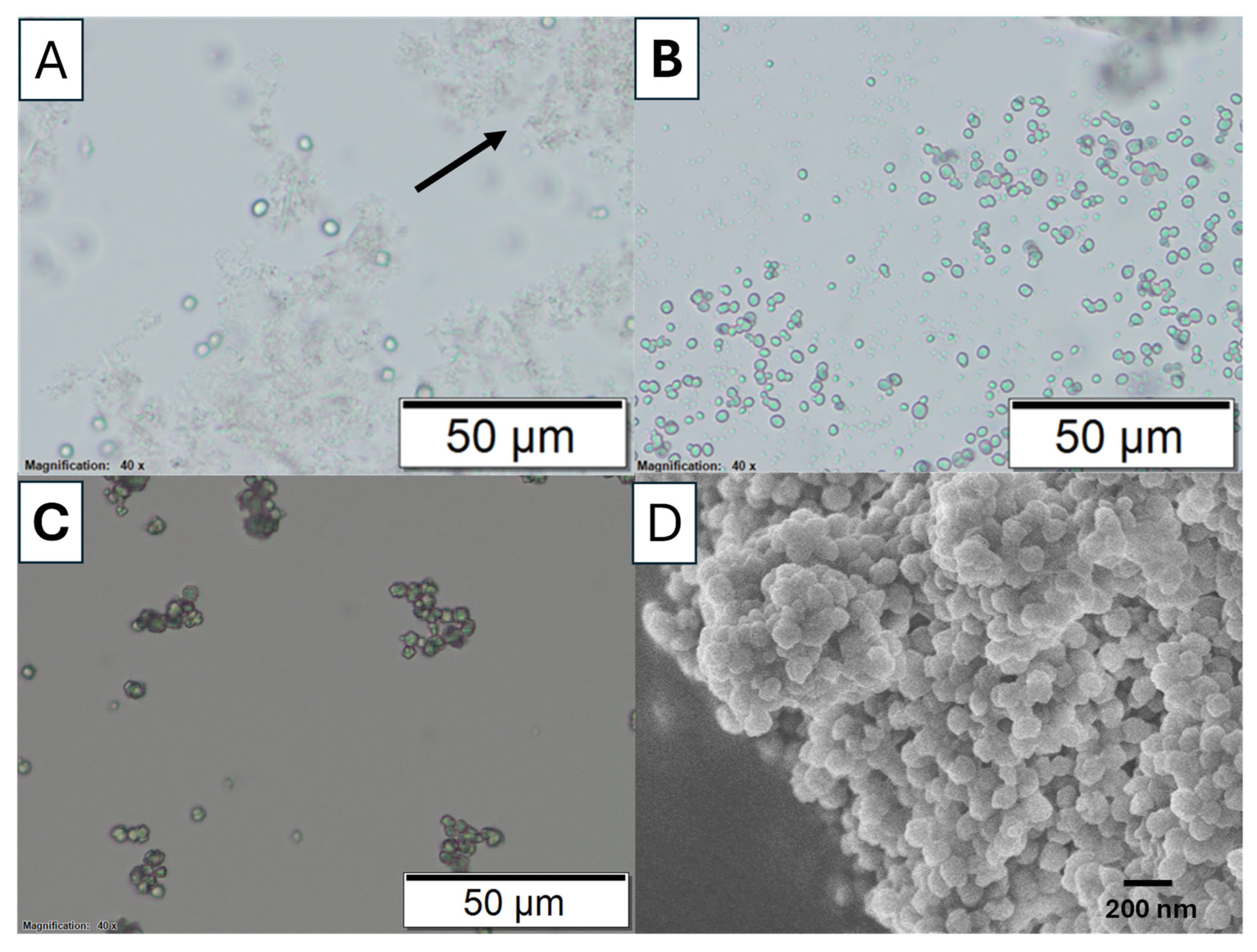 Nanomaterials 15 01227 g004