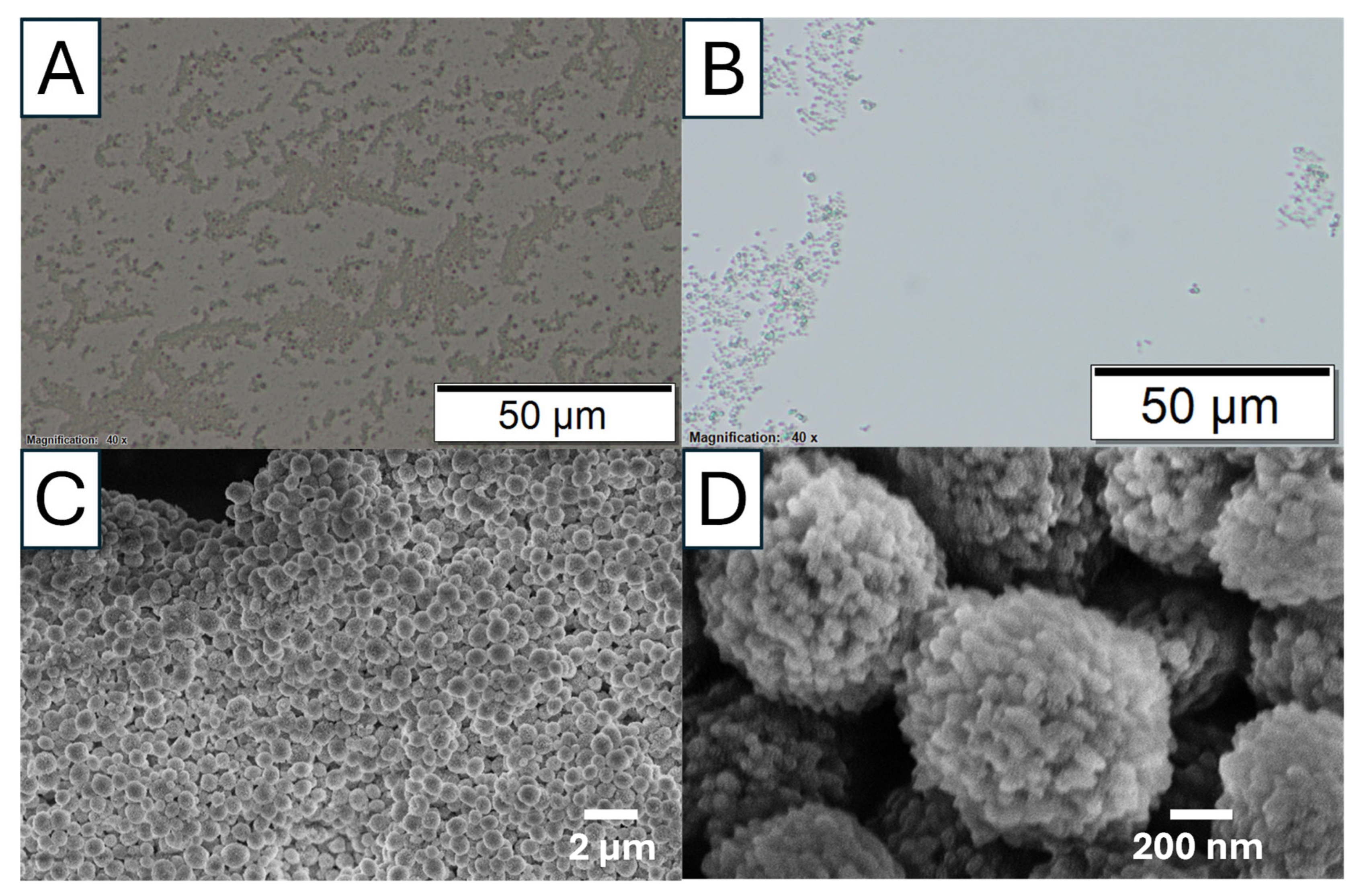 Nanomaterials 15 01227 g009