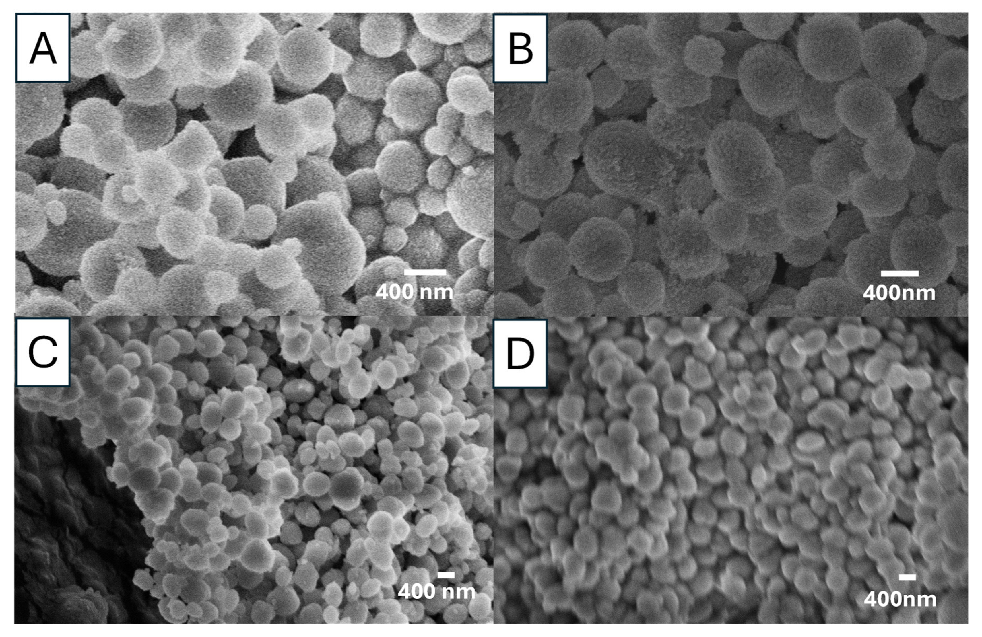 Nanomaterials 15 01227 g010