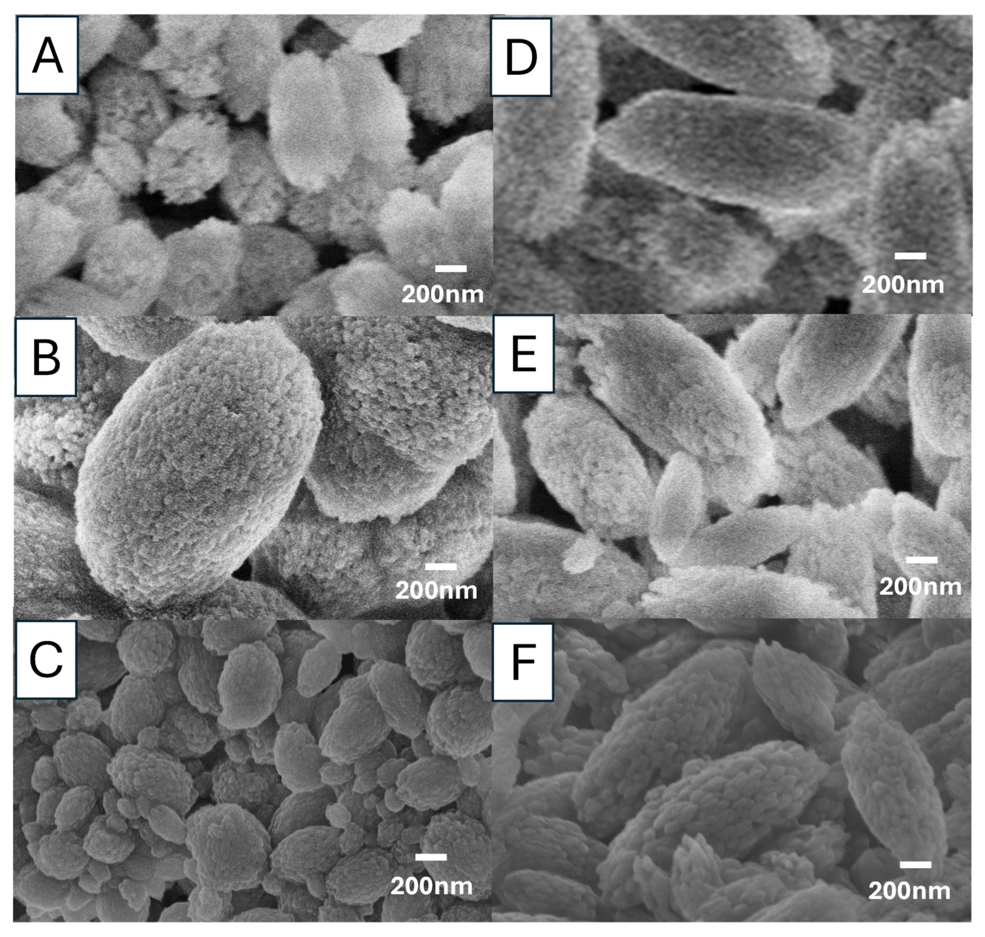 Nanomaterials 15 01227 g011