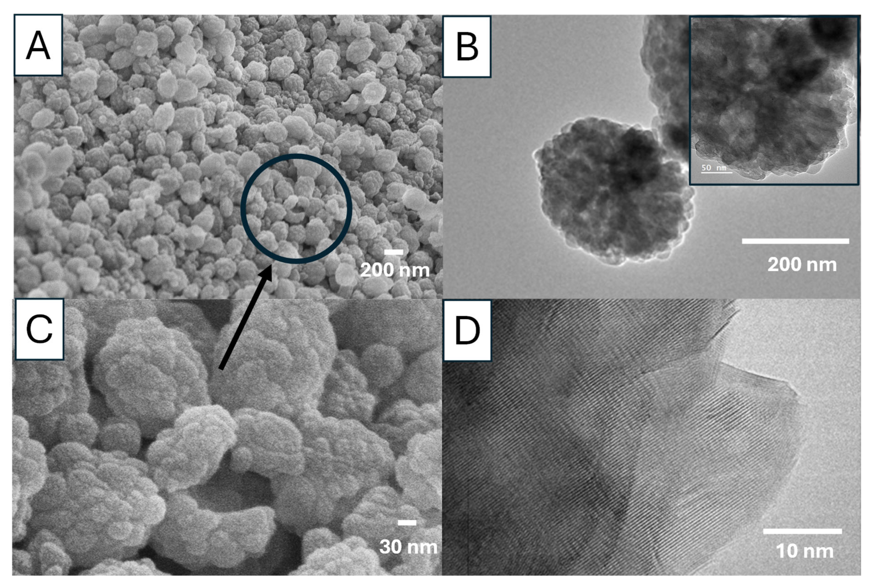 Nanomaterials 15 01227 g014
