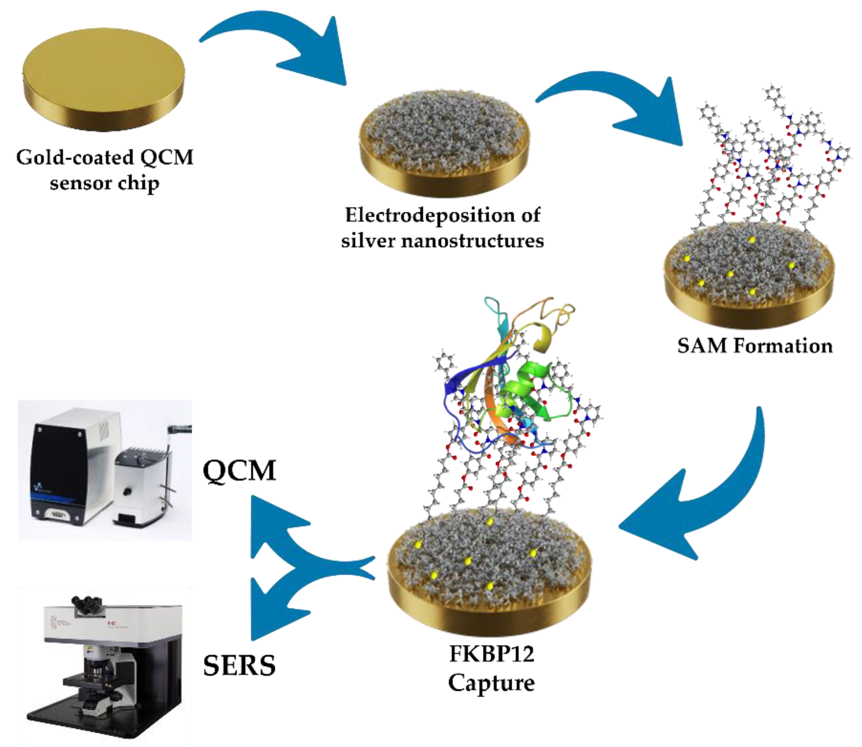 Nanomaterials 15 01230 g001 Nanomaterials 15 01230 g001