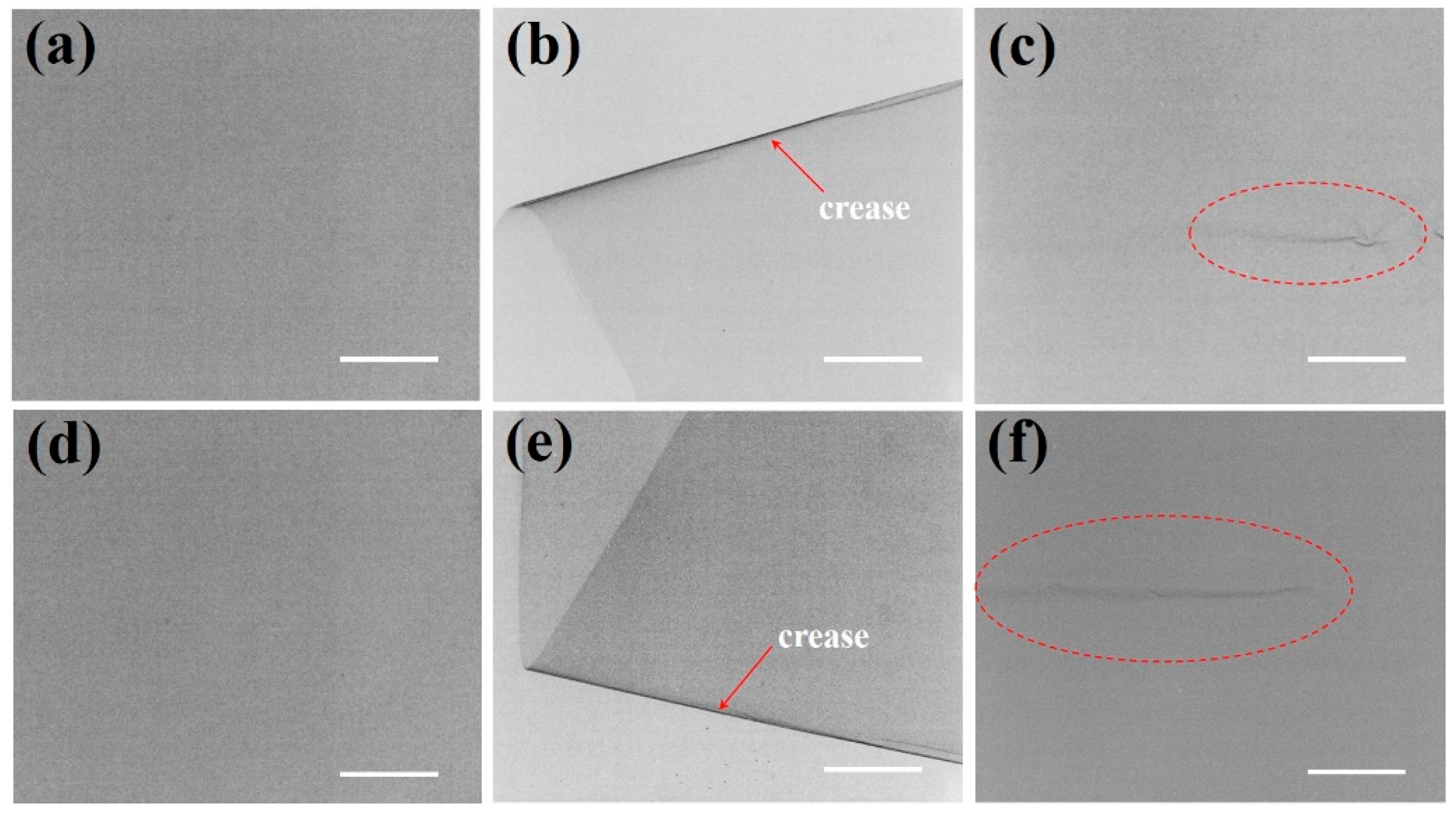 Nanomaterials 15 01231 g005