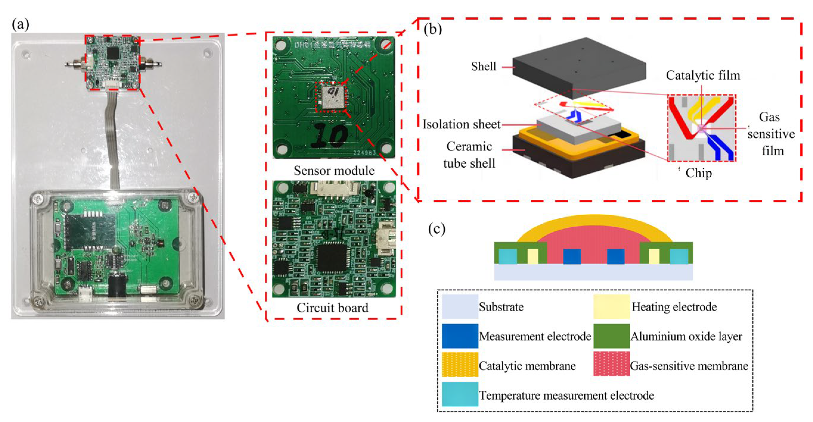 Nanomaterials 15 01232 g001