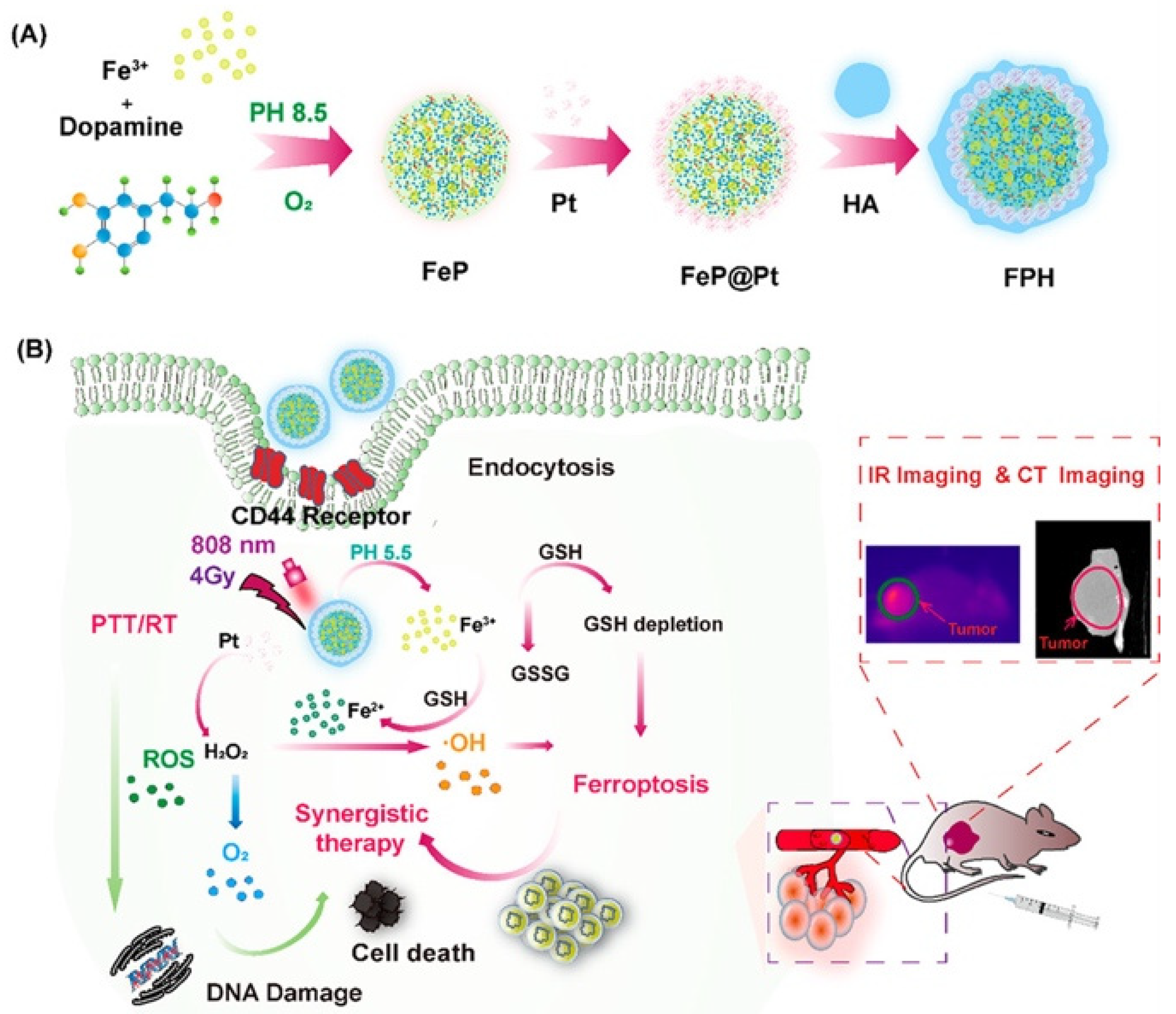 Nanomaterials 15 01242 g005 Nanomaterials 15 01242 g005
