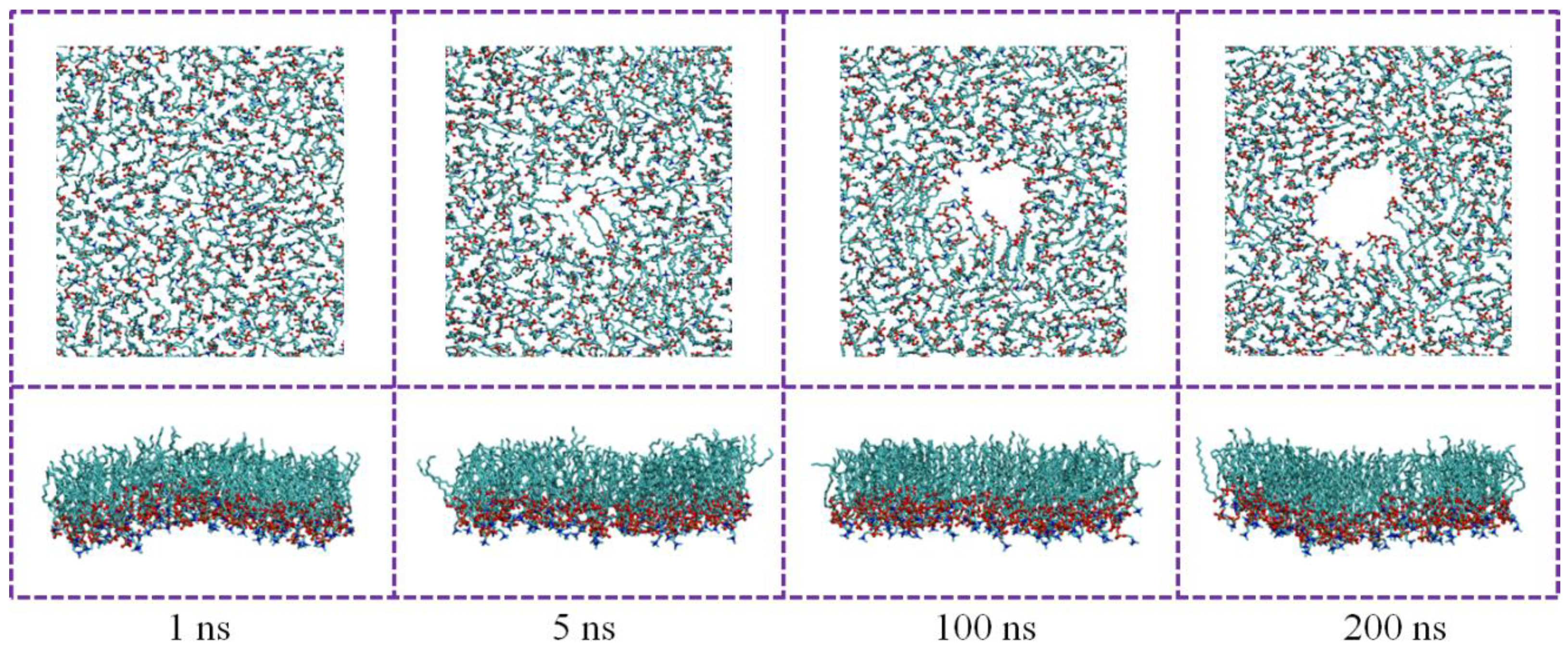 Nanomaterials 15 01244 g006