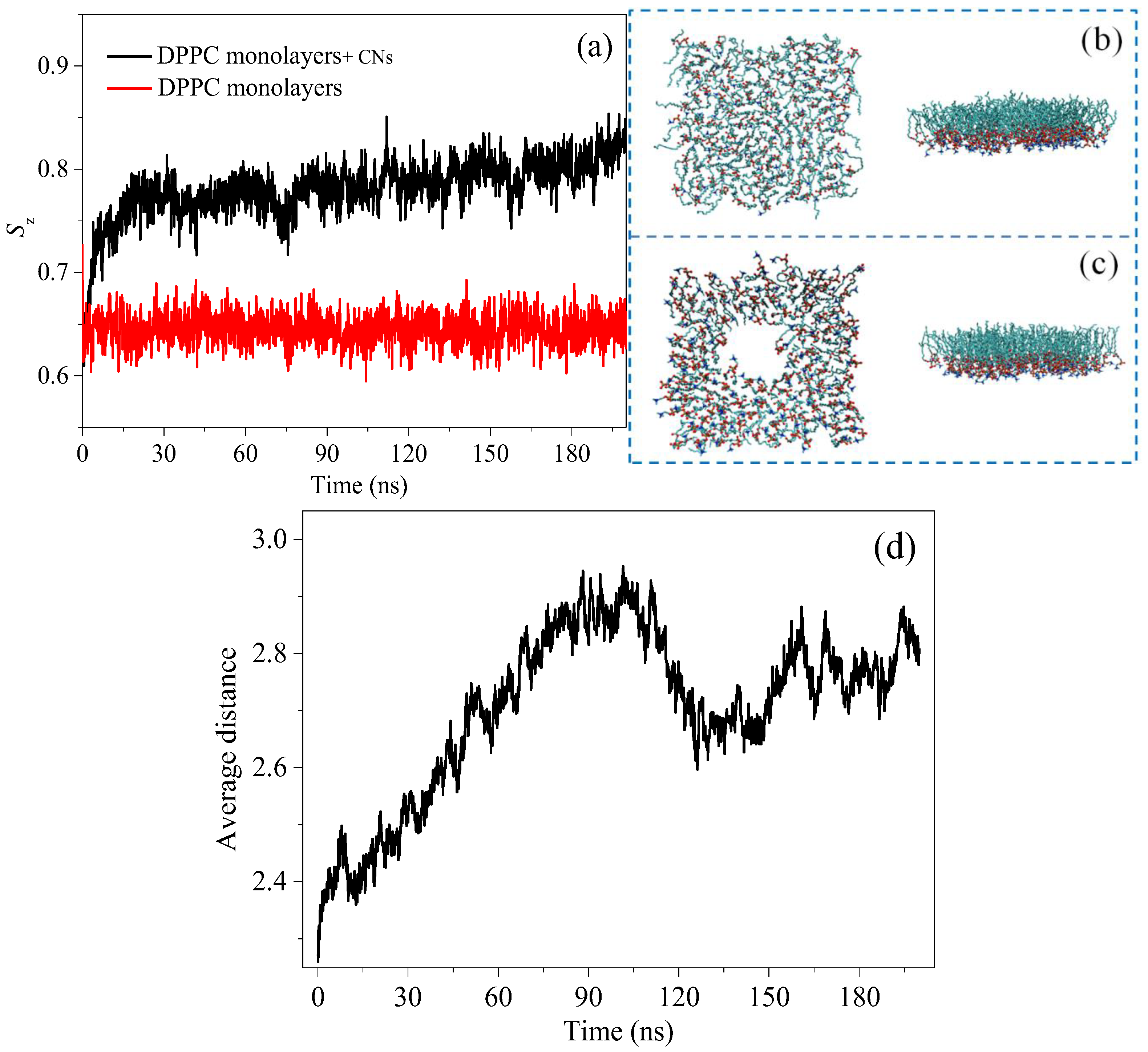 Nanomaterials 15 01244 g007