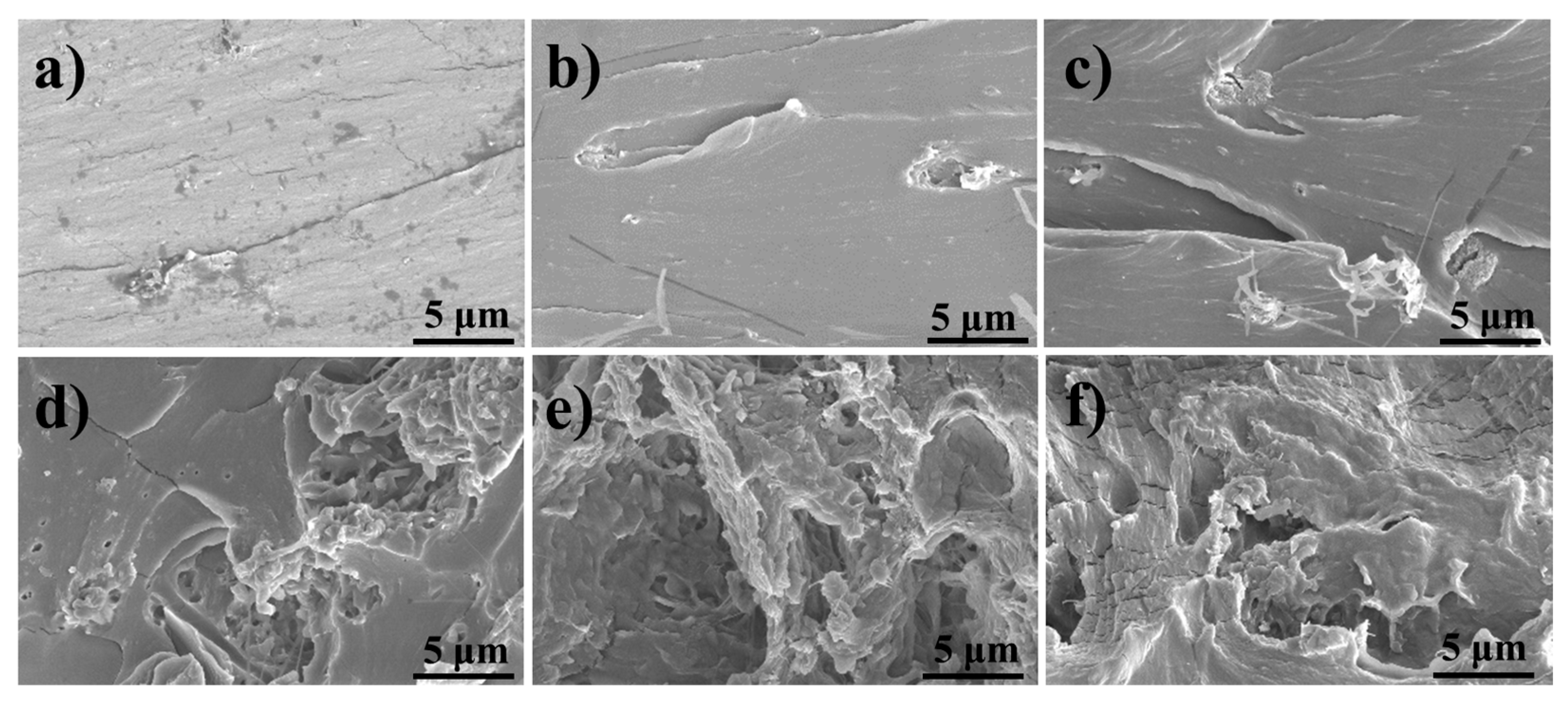 Nanomaterials 15 01251 g002 Nanomaterials 15 01251 g002