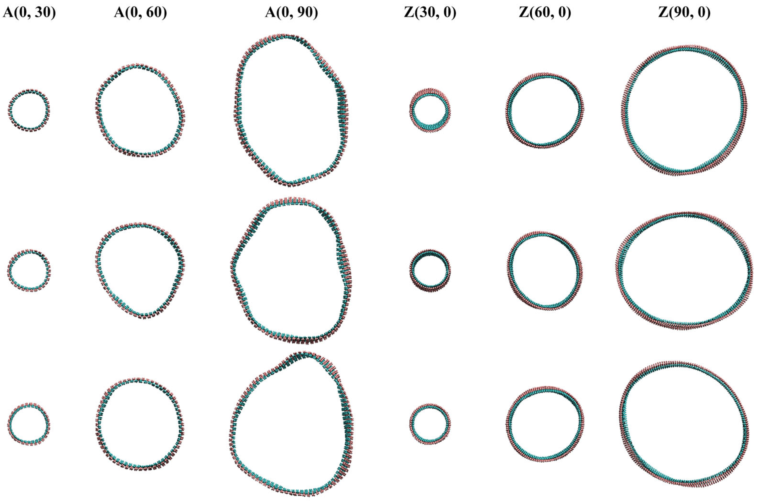 Nanomaterials 15 01259 g002 Nanomaterials 15 01259 g002