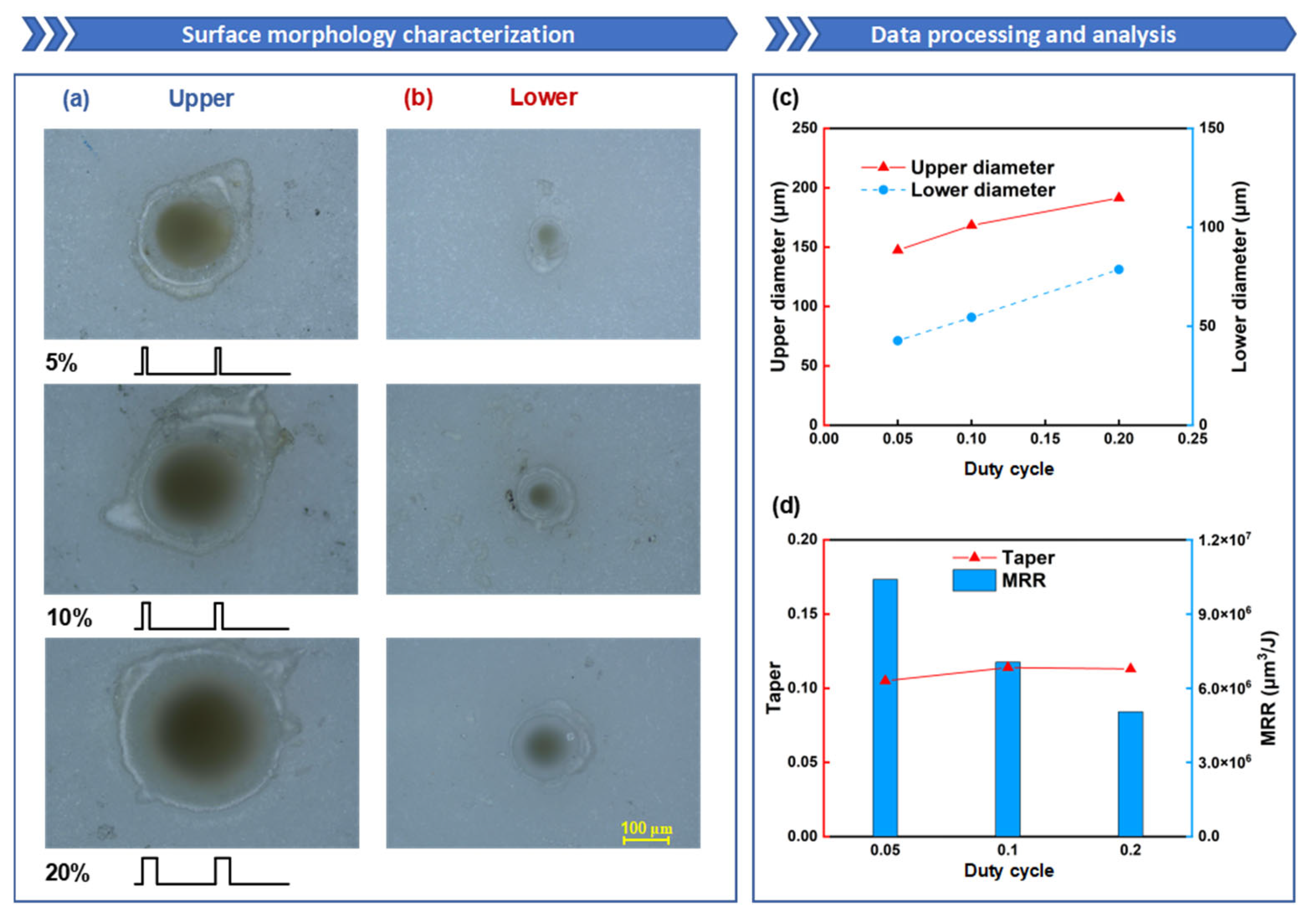 Nanomaterials 15 01261 g010