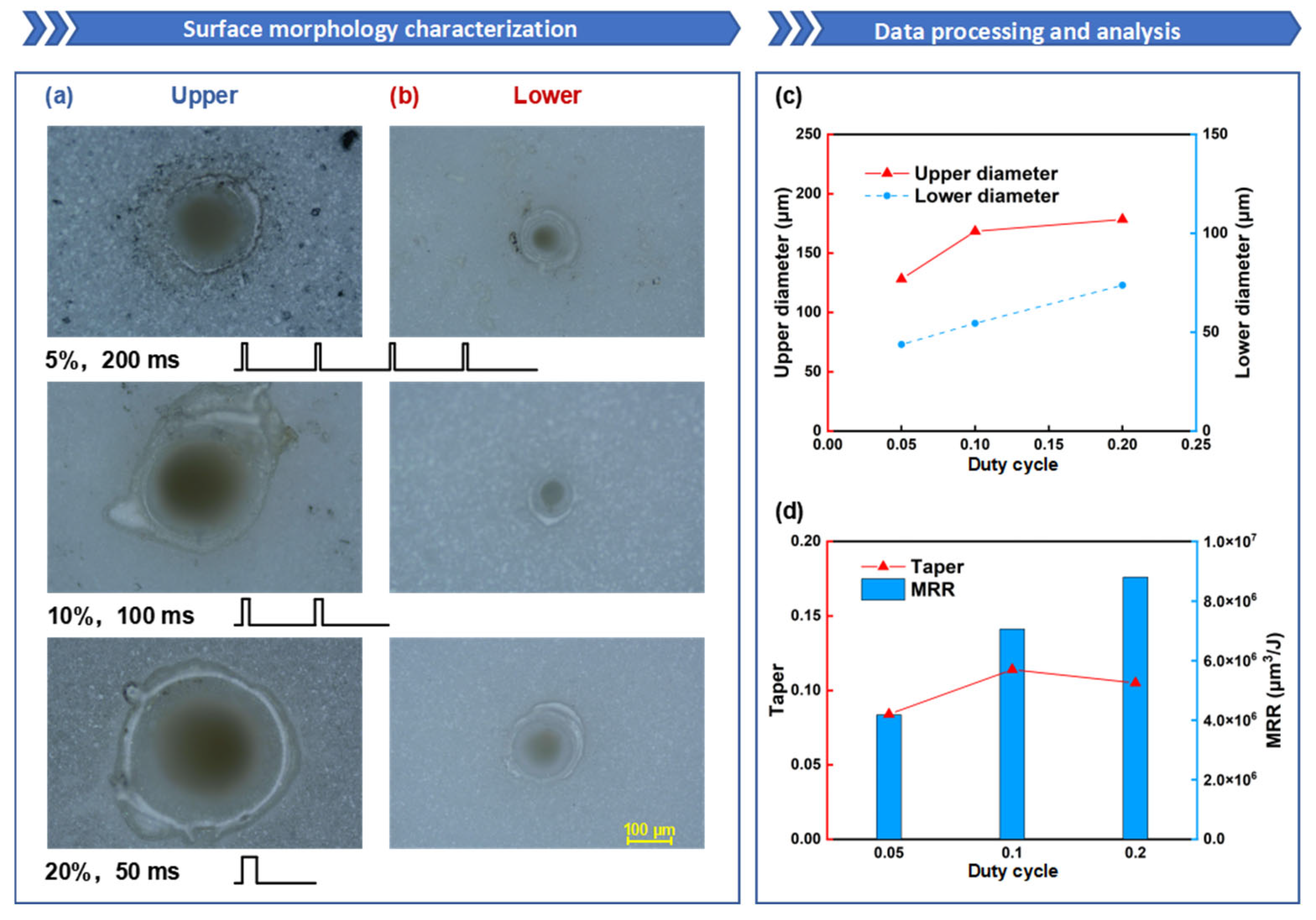 Nanomaterials 15 01261 g011