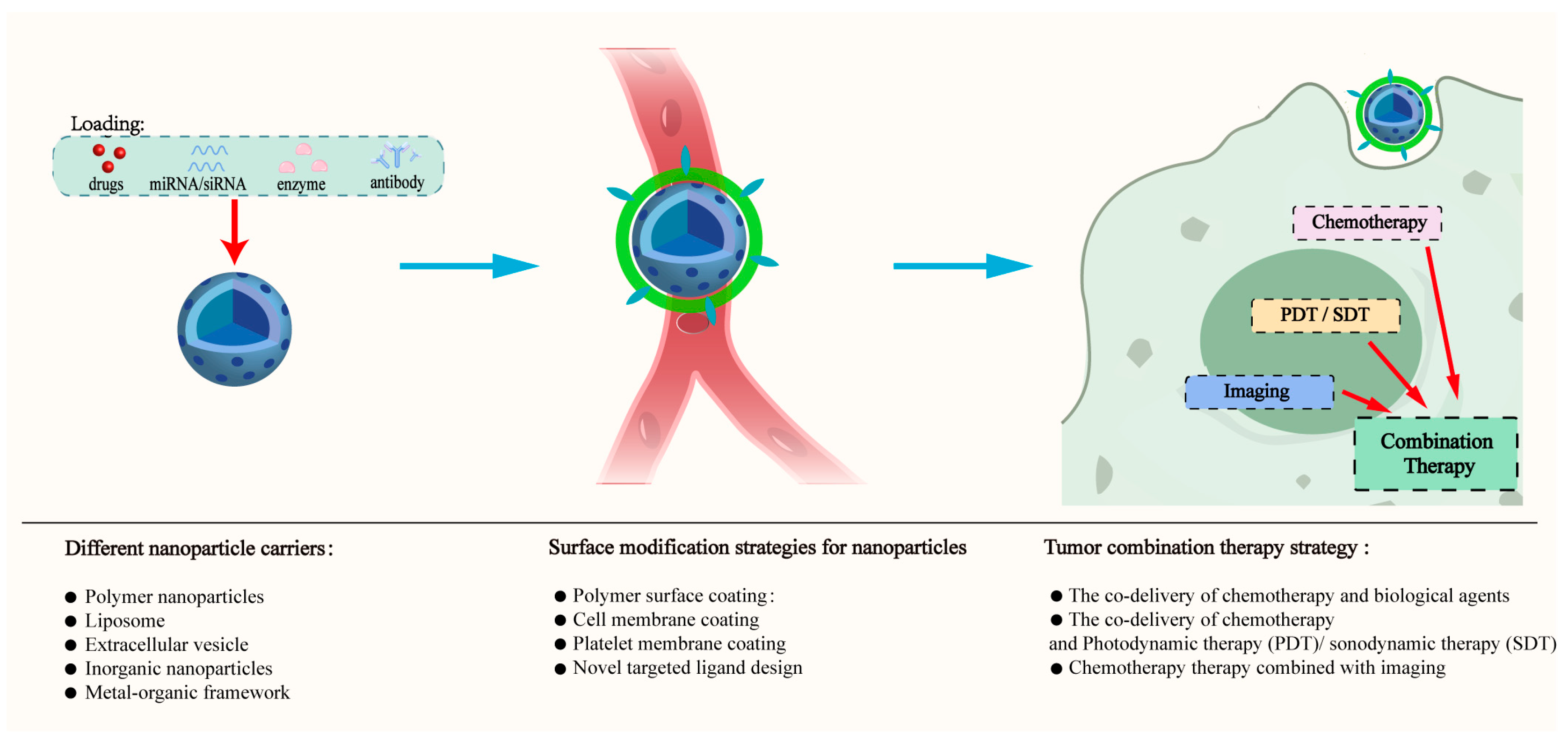 Nanomaterials 15 01262 g001 Nanomaterials 15 01262 g001