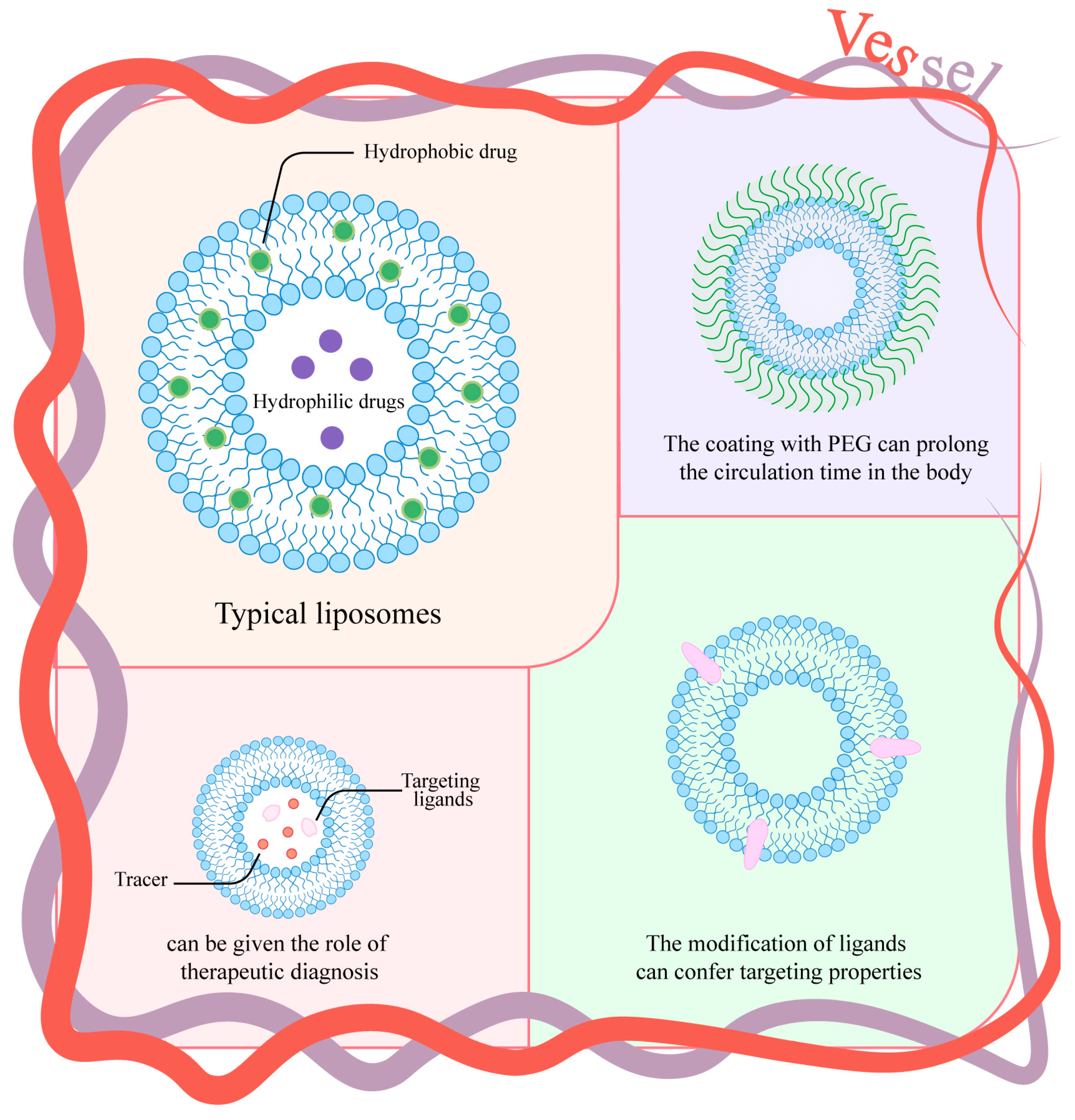 Nanomaterials 15 01262 g004 Nanomaterials 15 01262 g004