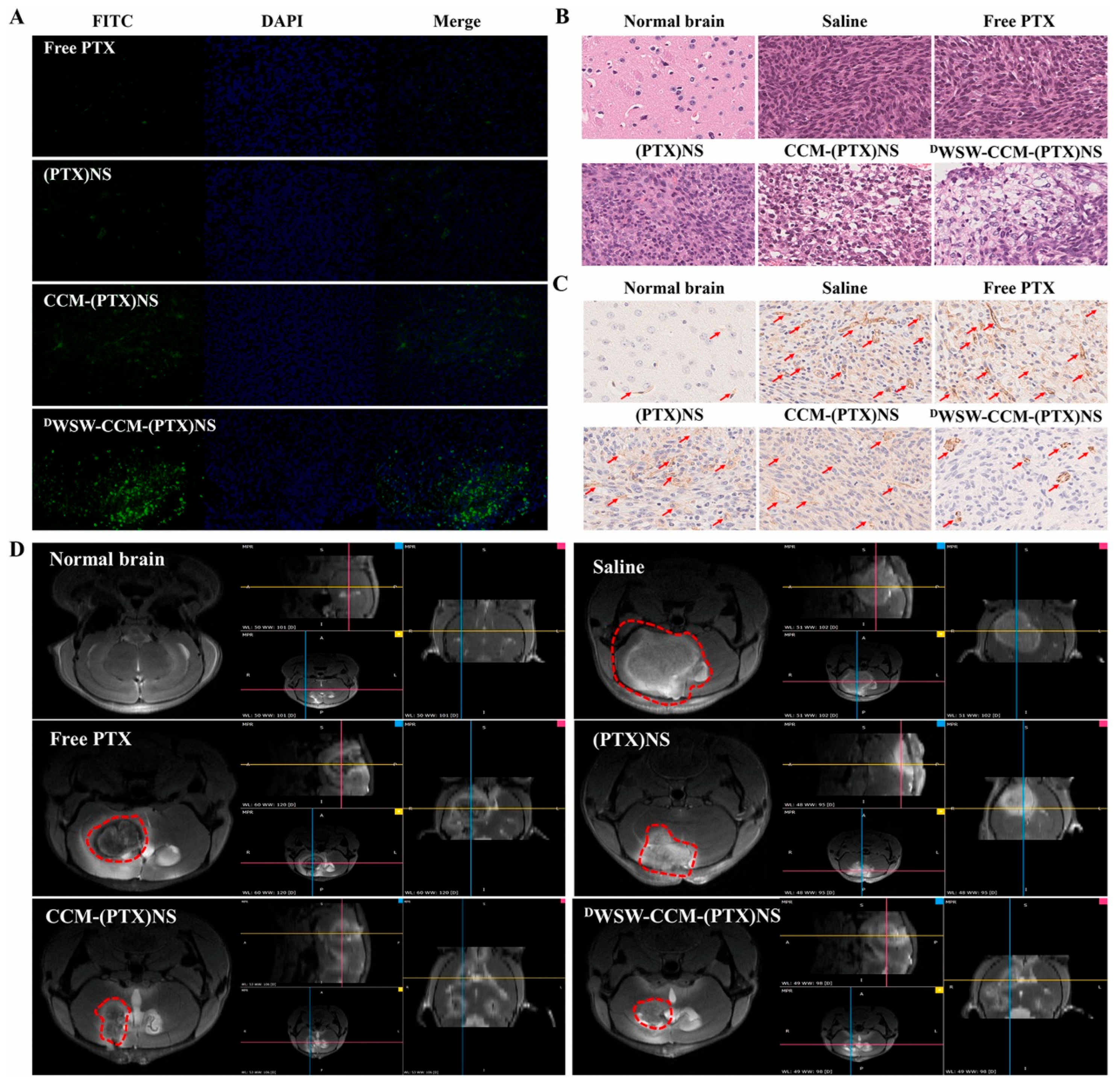 Nanomaterials 15 01262 g007 Nanomaterials 15 01262 g007