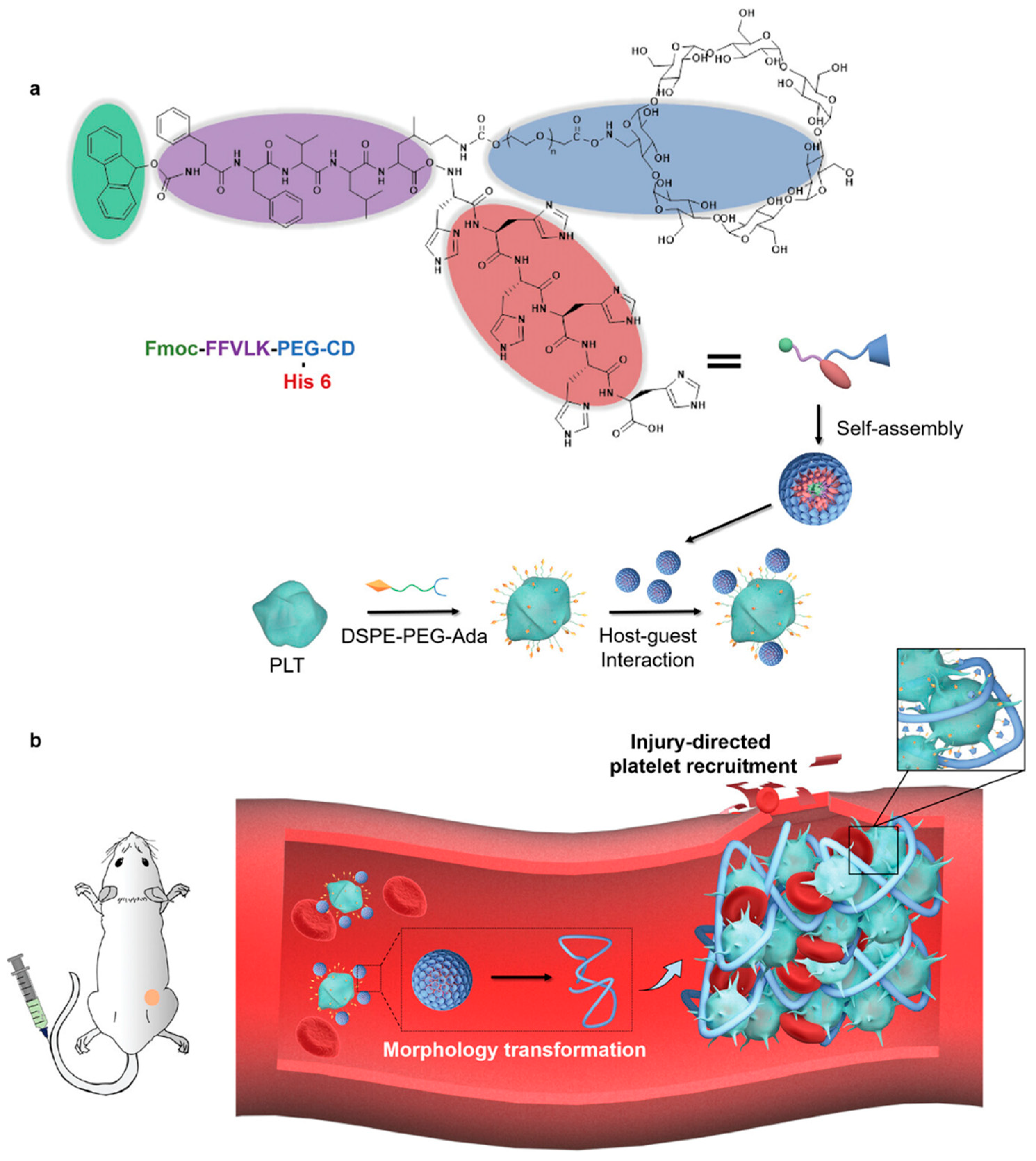 Nanomaterials 15 01262 g008 Nanomaterials 15 01262 g008