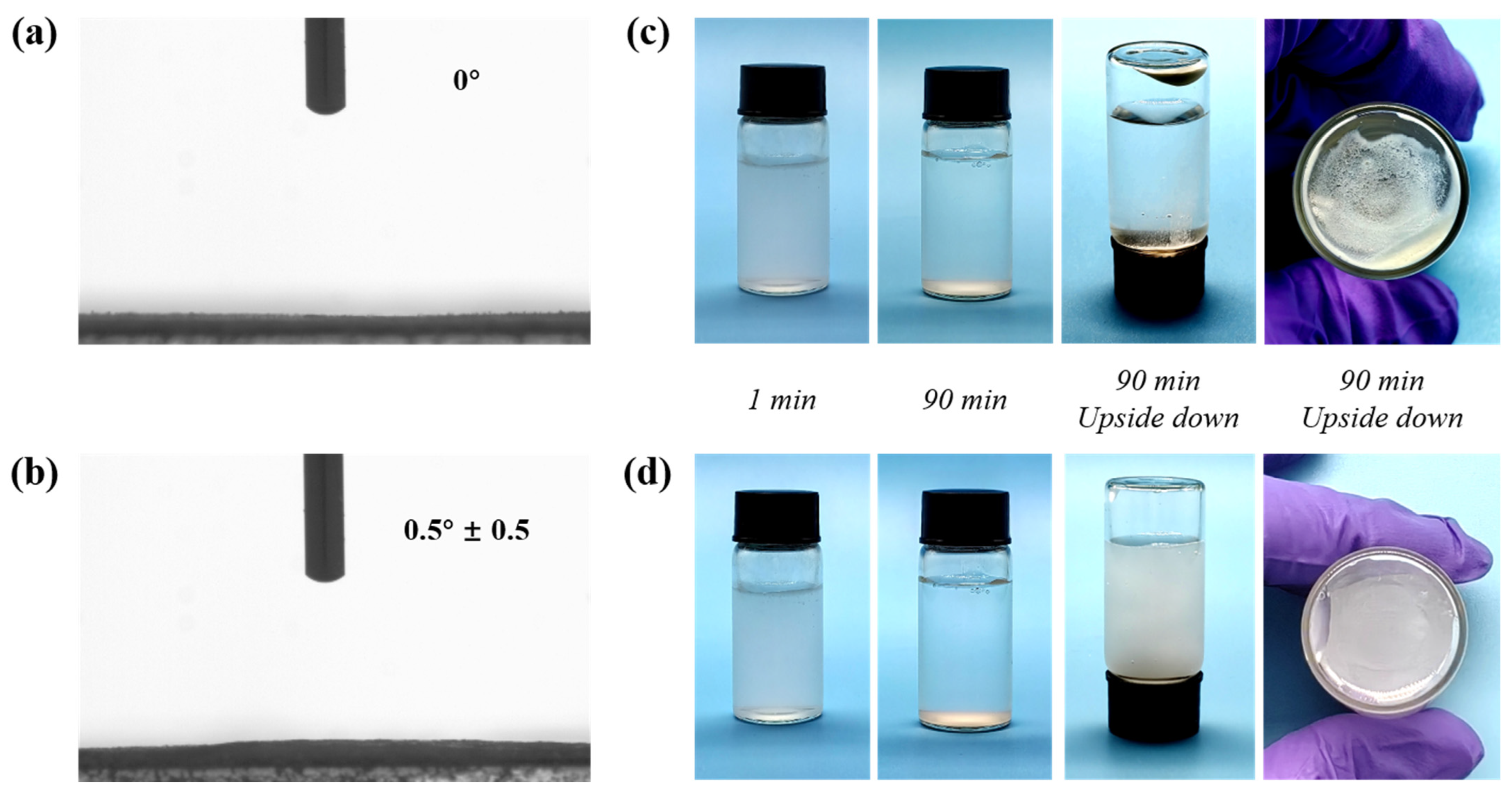 Nanomaterials 15 01266 g003 Nanomaterials 15 01266 g003