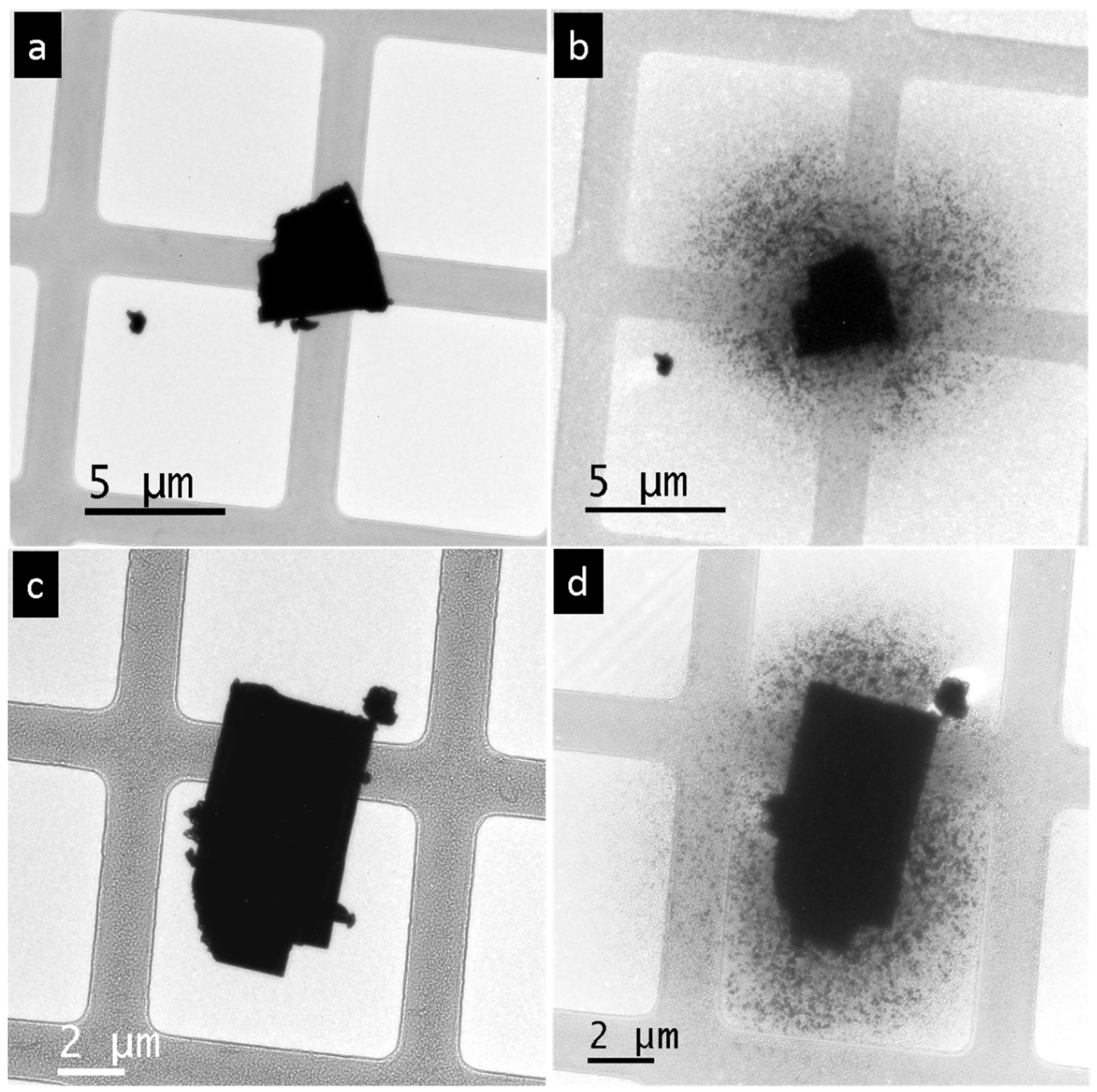 Nanomaterials 15 01275 g004