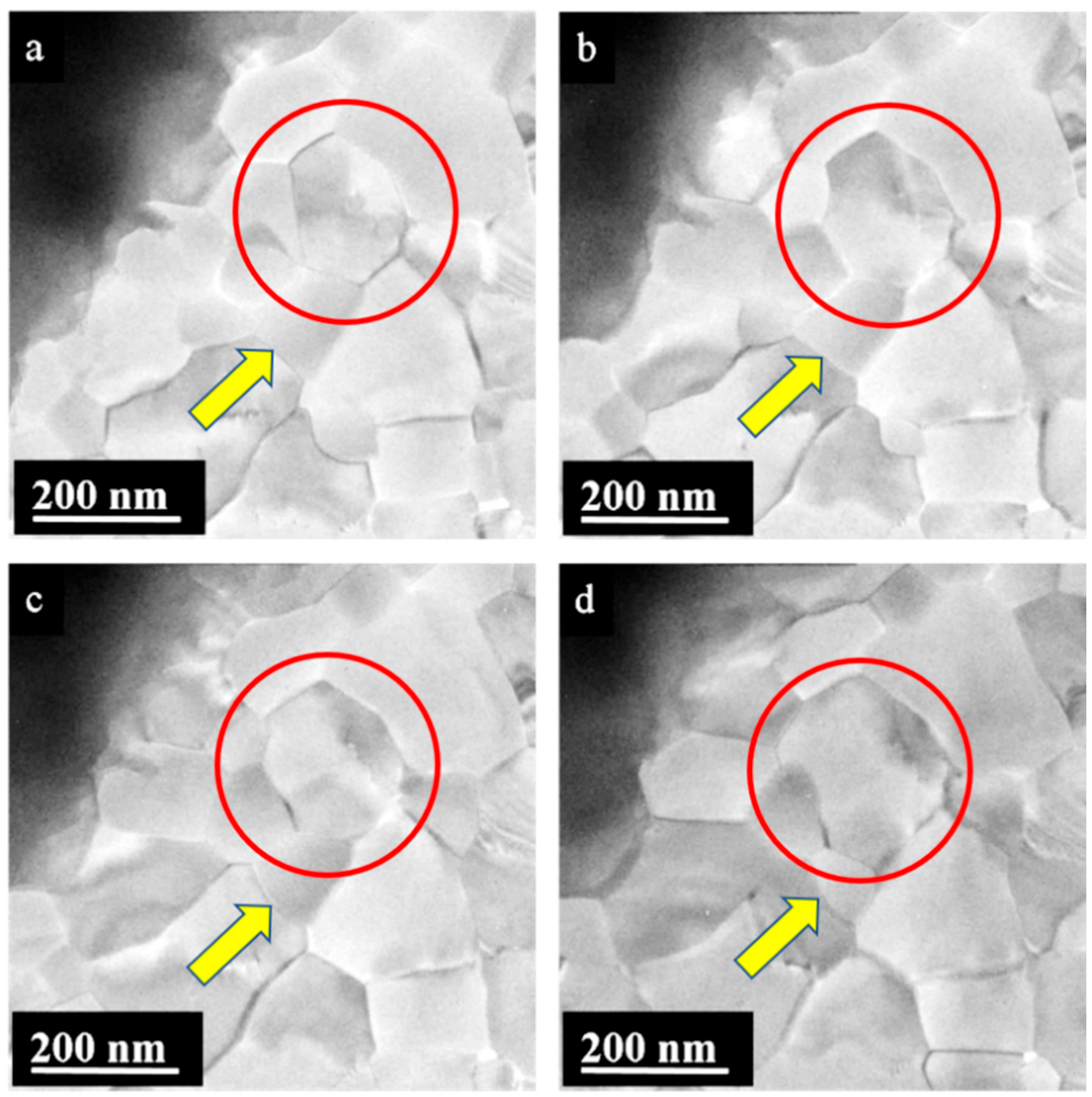 Nanomaterials 15 01275 g006