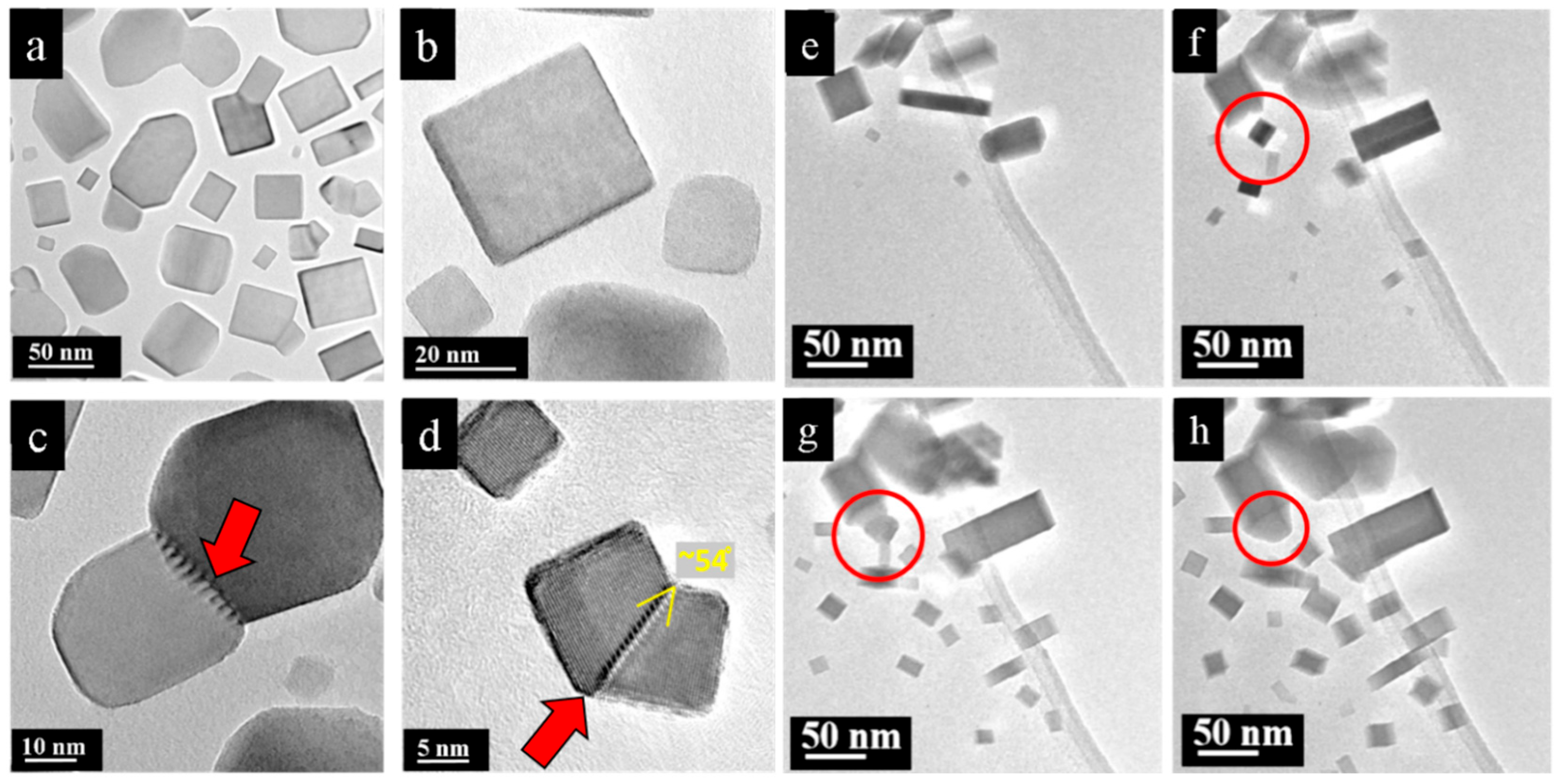 Nanomaterials 15 01275 g007