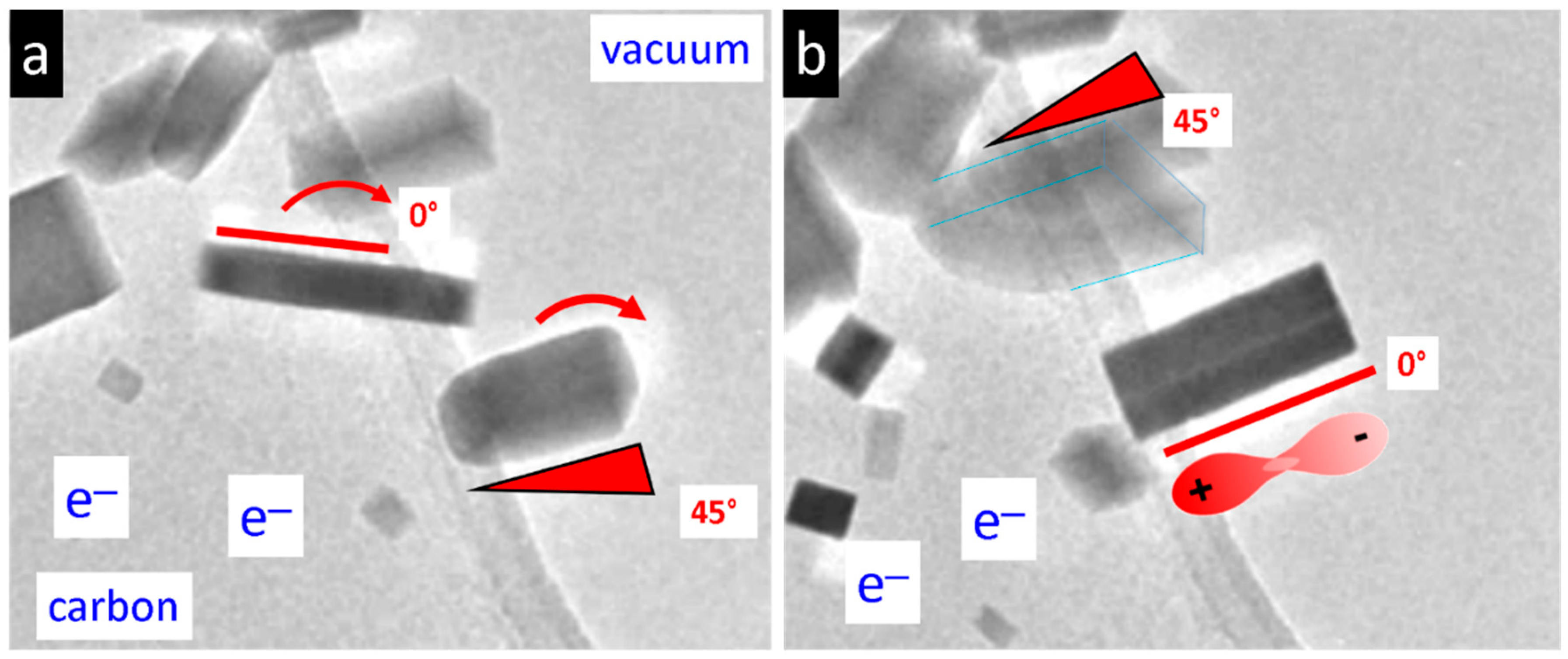 Nanomaterials 15 01275 g014