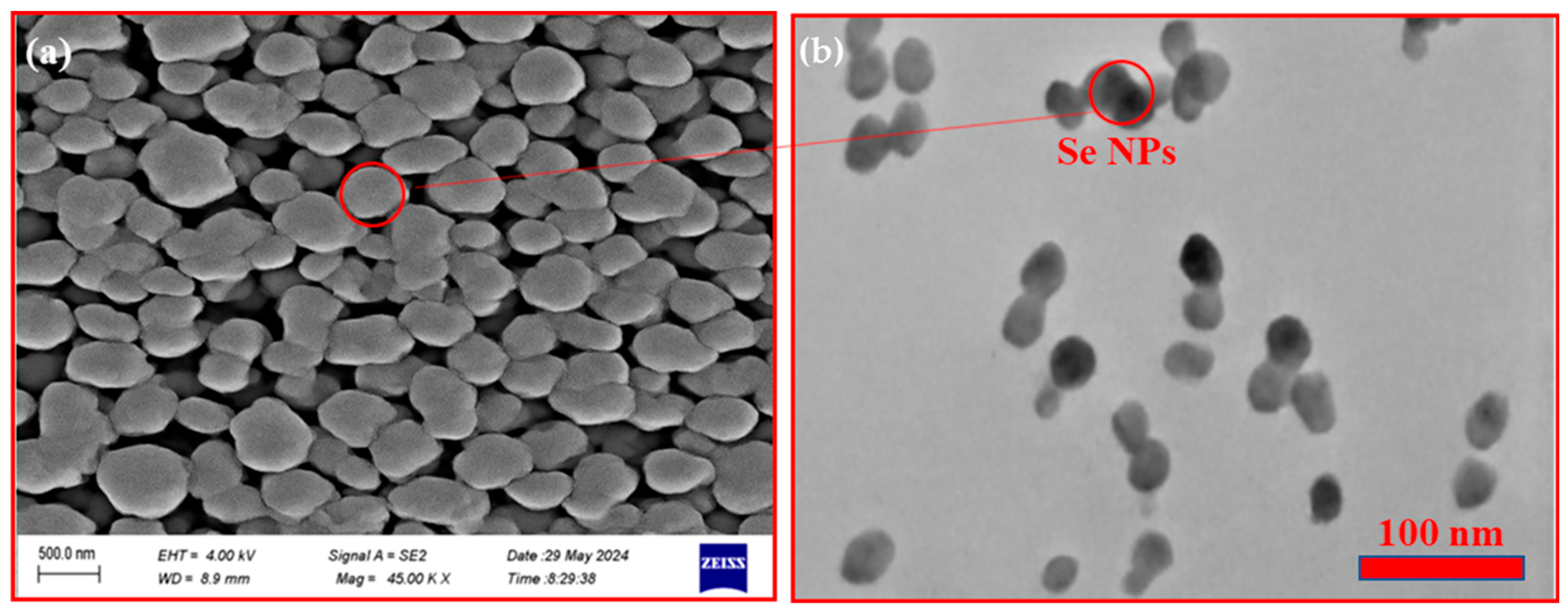 Nanomaterials 15 01276 g001