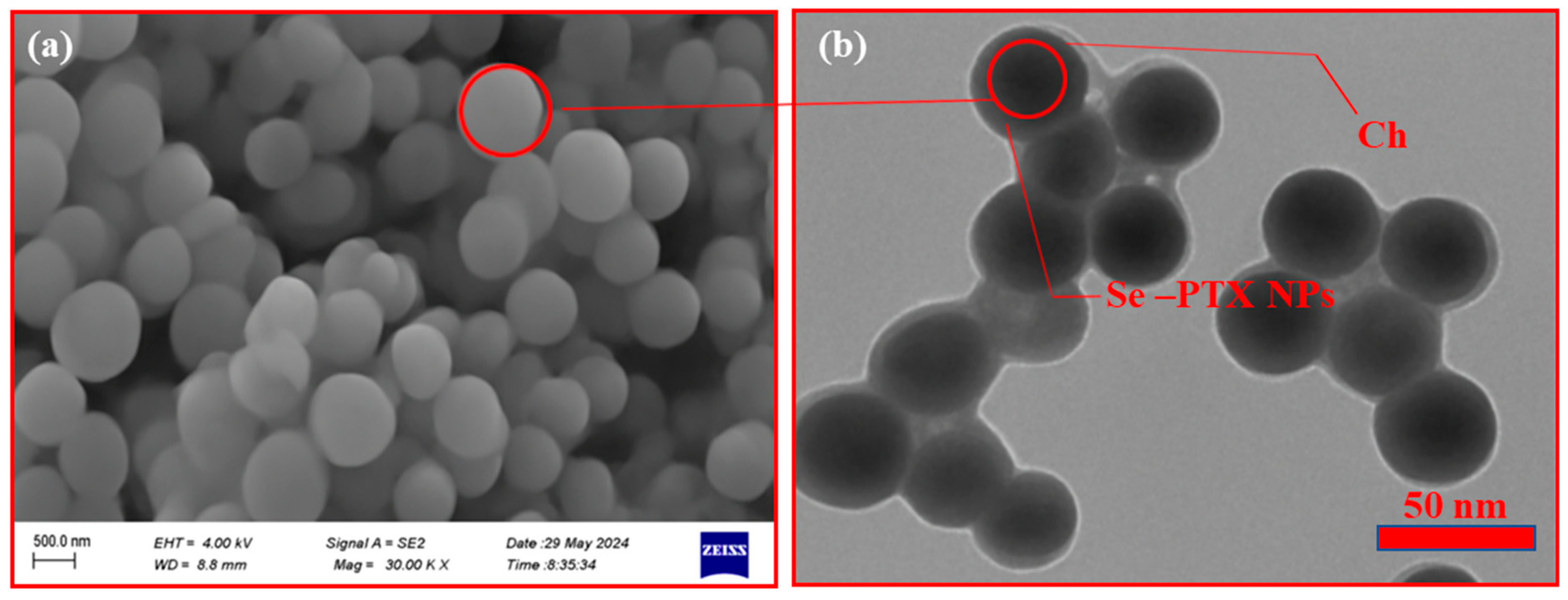 Nanomaterials 15 01276 g002