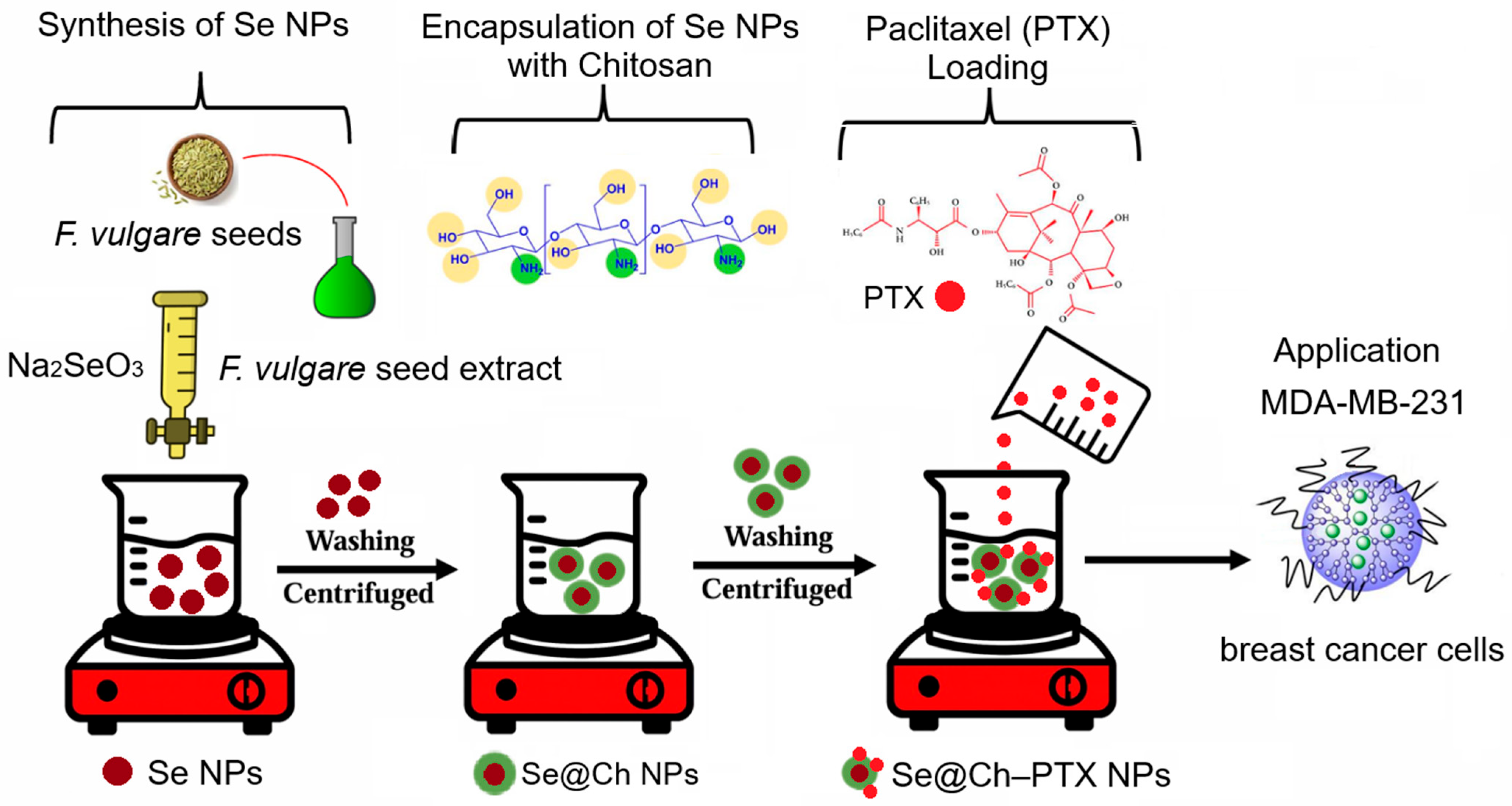 Nanomaterials 15 01276 sch001