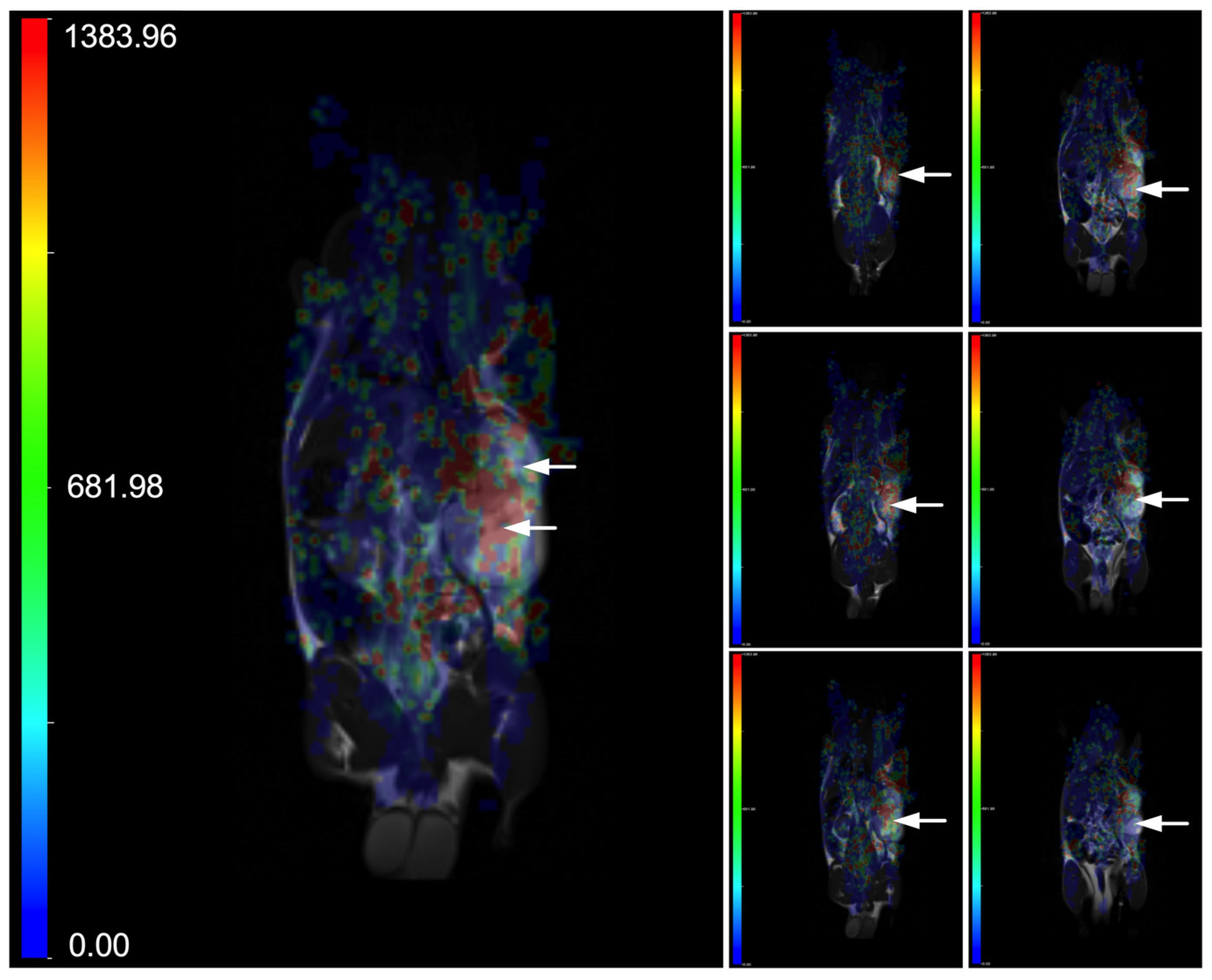 Nanomaterials 15 01277 g001