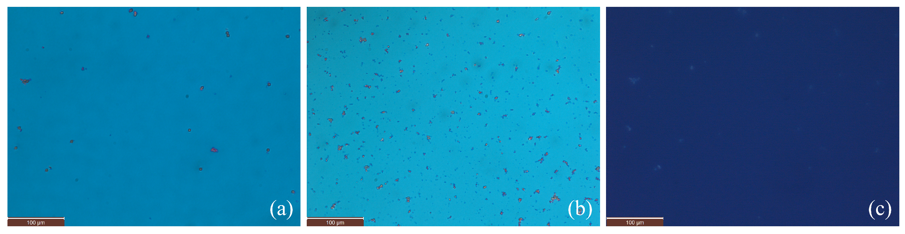 Nanomaterials 15 01278 g003