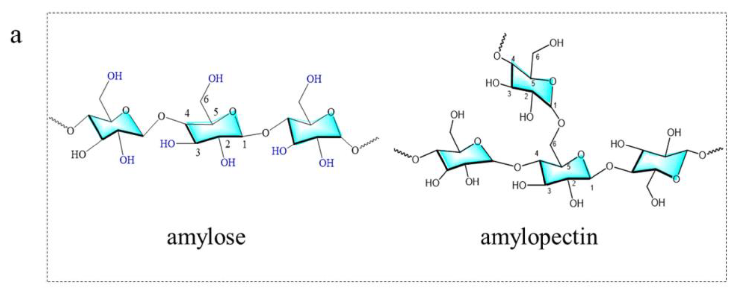 Nanomaterials 15 01279 g003a Nanomaterials 15 01279 g003a