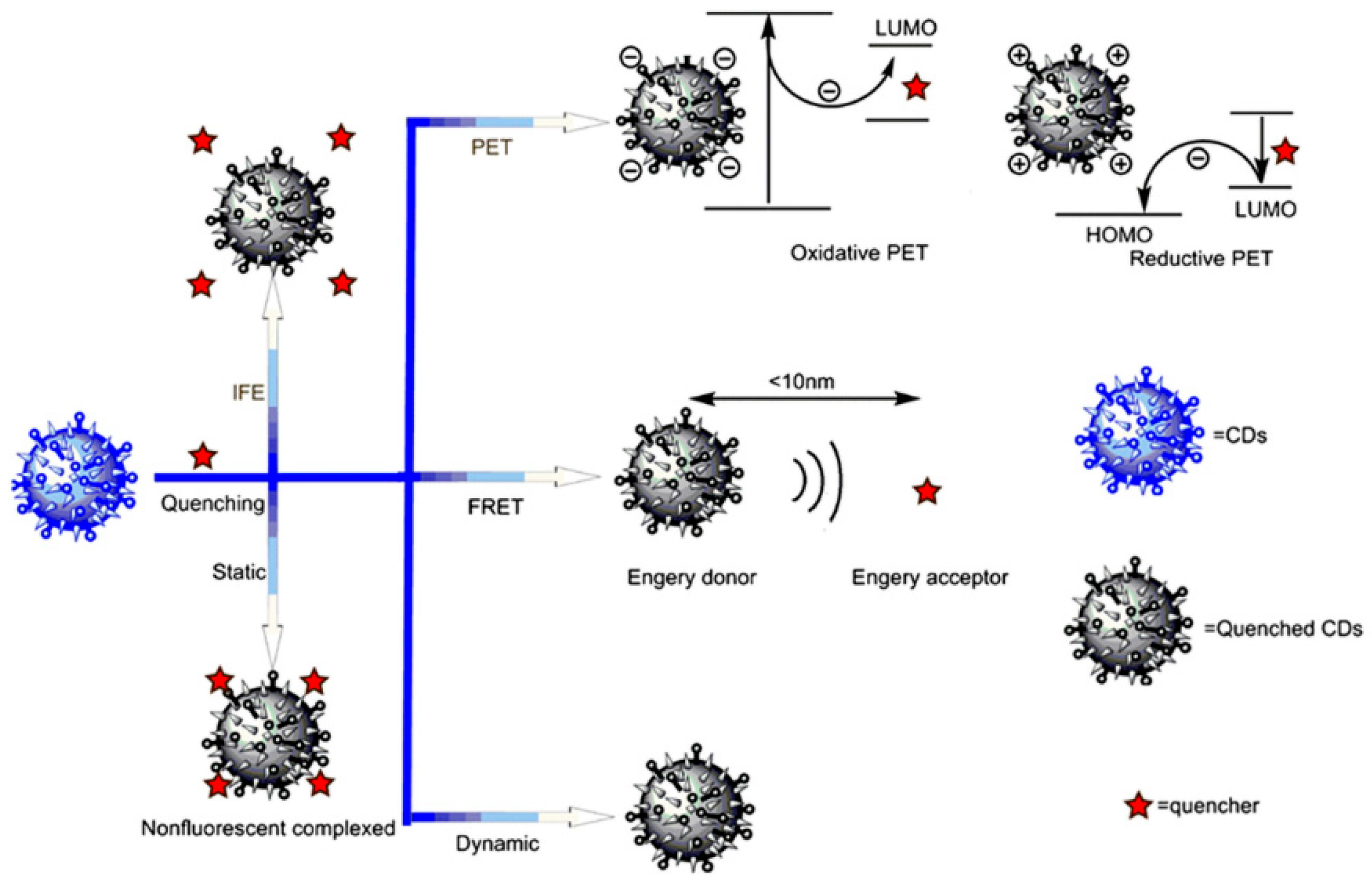 Nanomaterials 15 01279 g006 Nanomaterials 15 01279 g006
