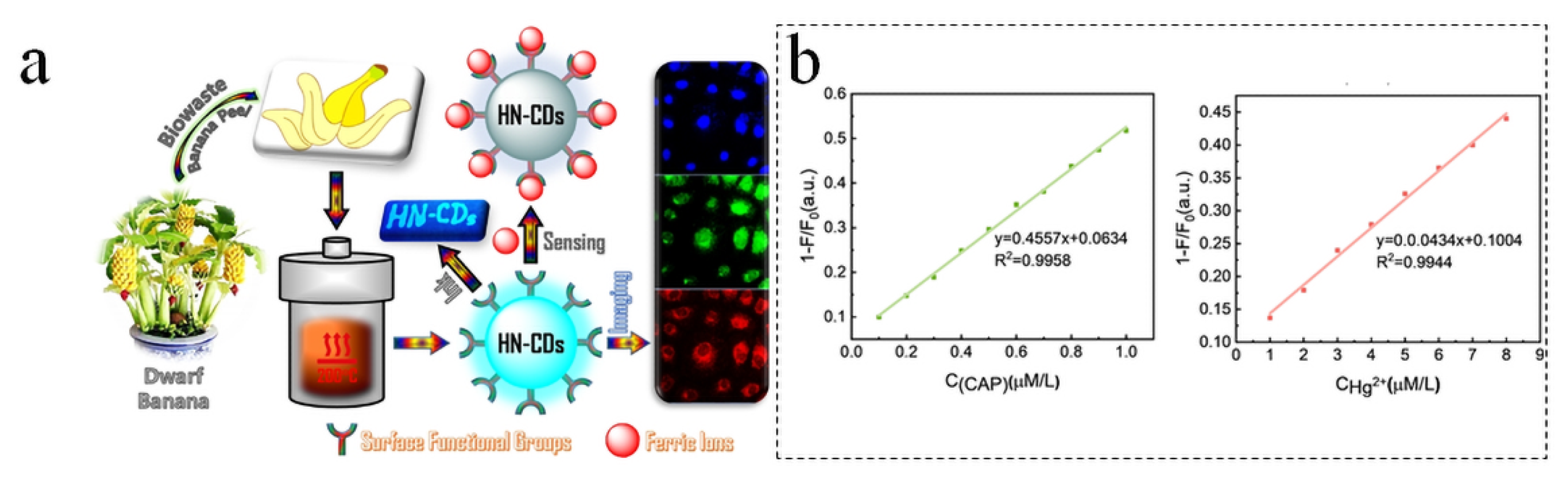 Nanomaterials 15 01279 g011a Nanomaterials 15 01279 g011a