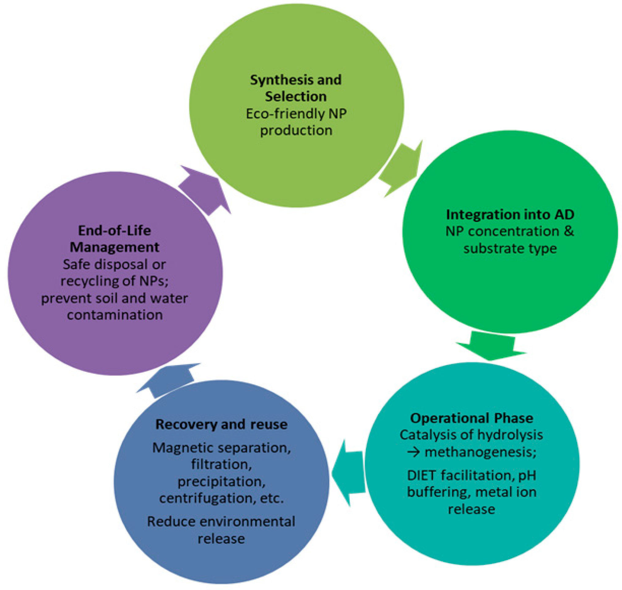 Nanomaterials 15 01285 g007